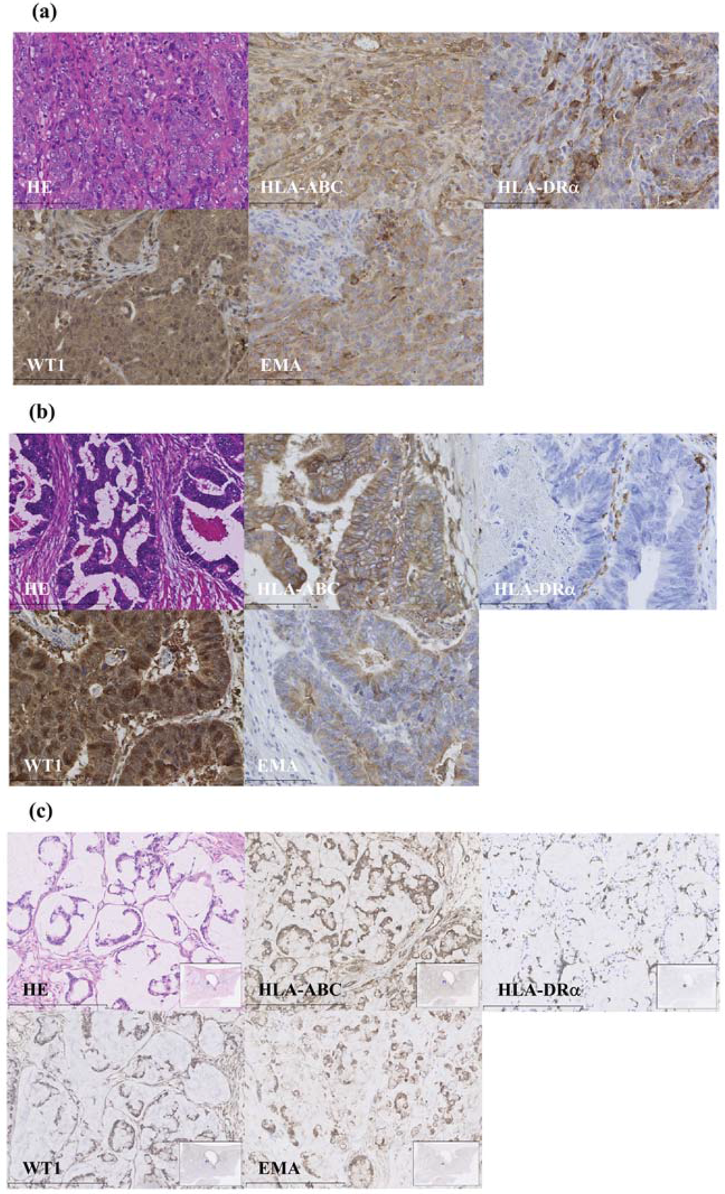 Vaccines 03 01004 g001 1024