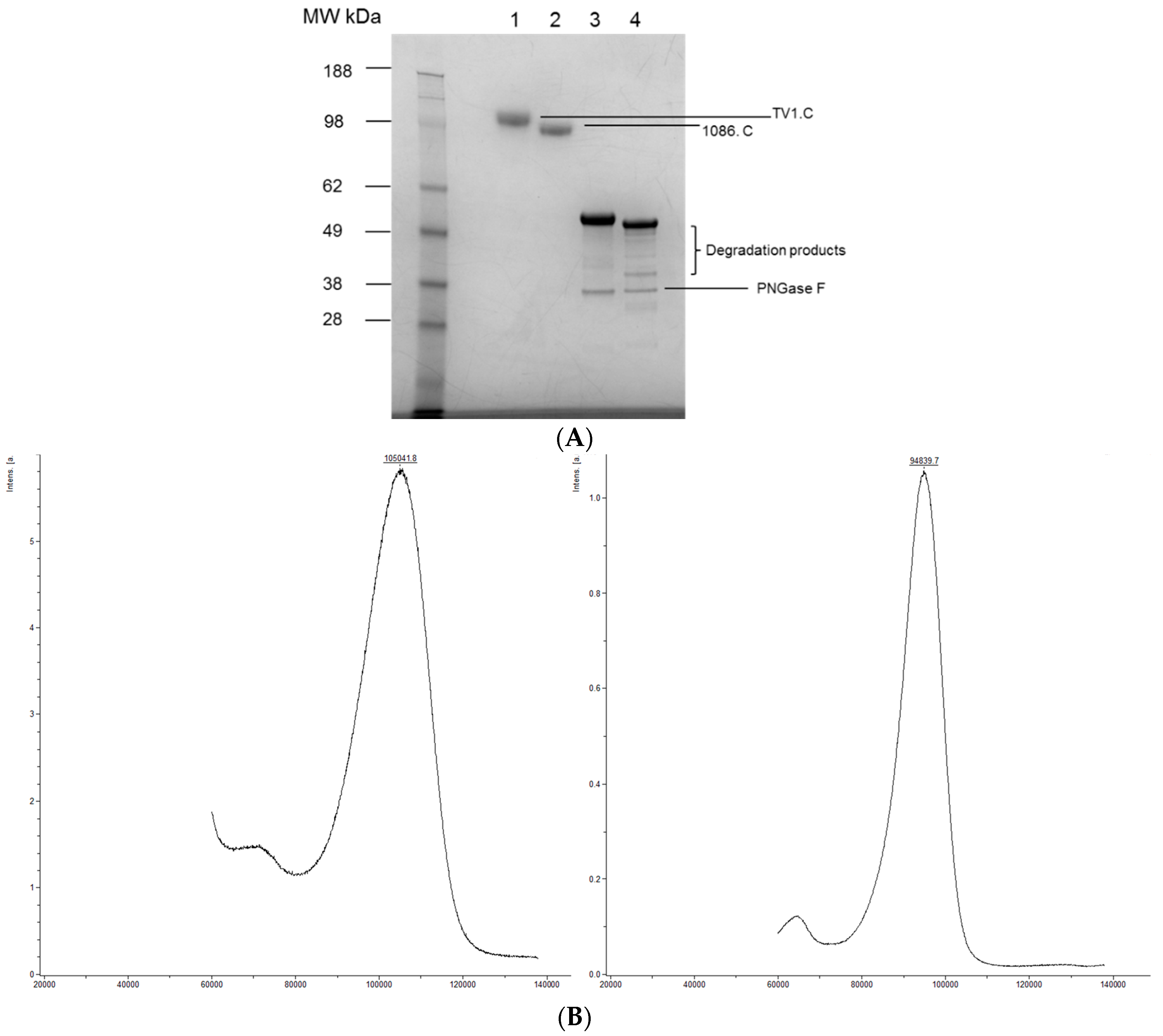 Vaccines 04 00017 g001a