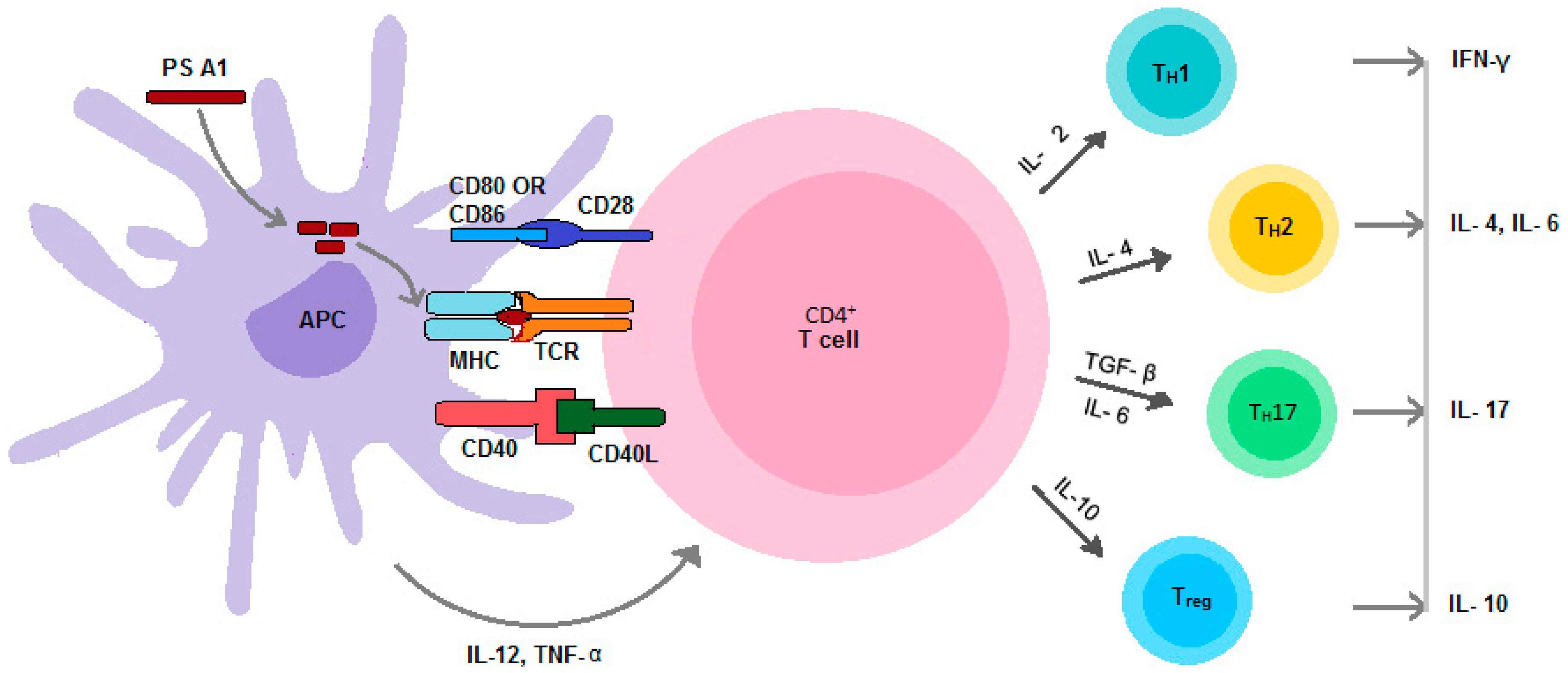 Vaccines 04 00019 g003