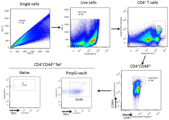 Vaccines 05 00003 g009 550