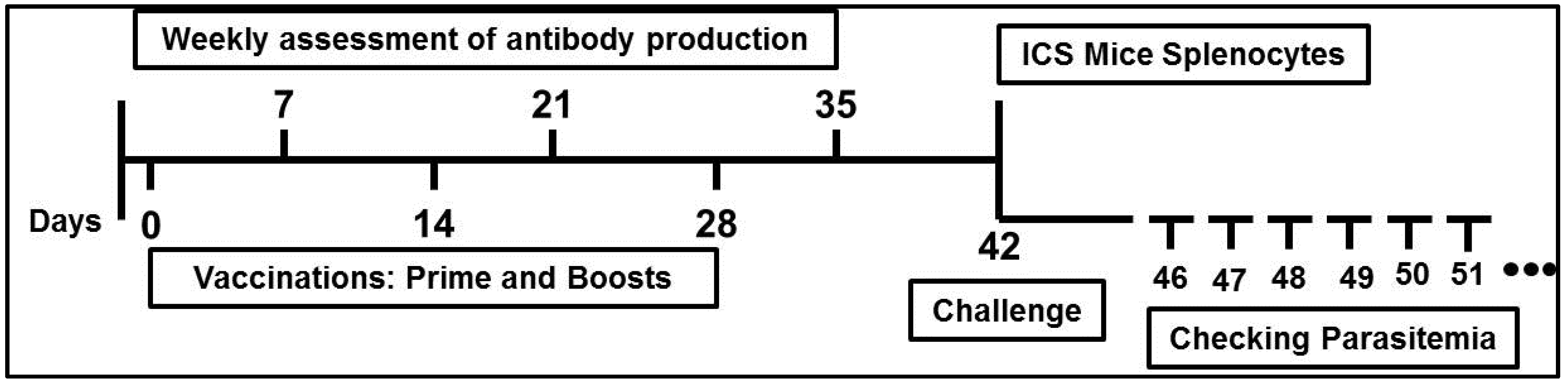 Vaccines 05 00010 g001