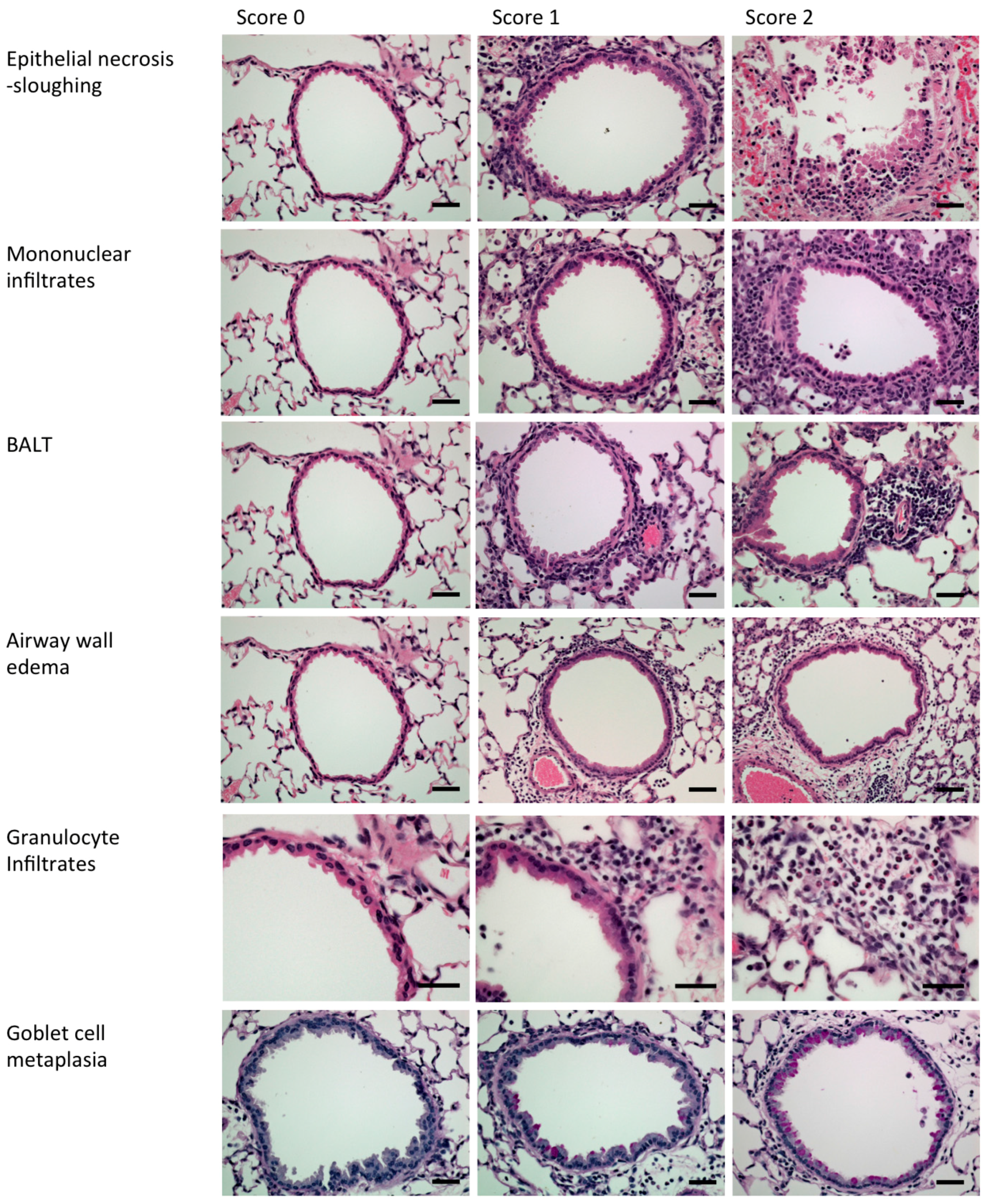 Vaccines 05 00027 g002