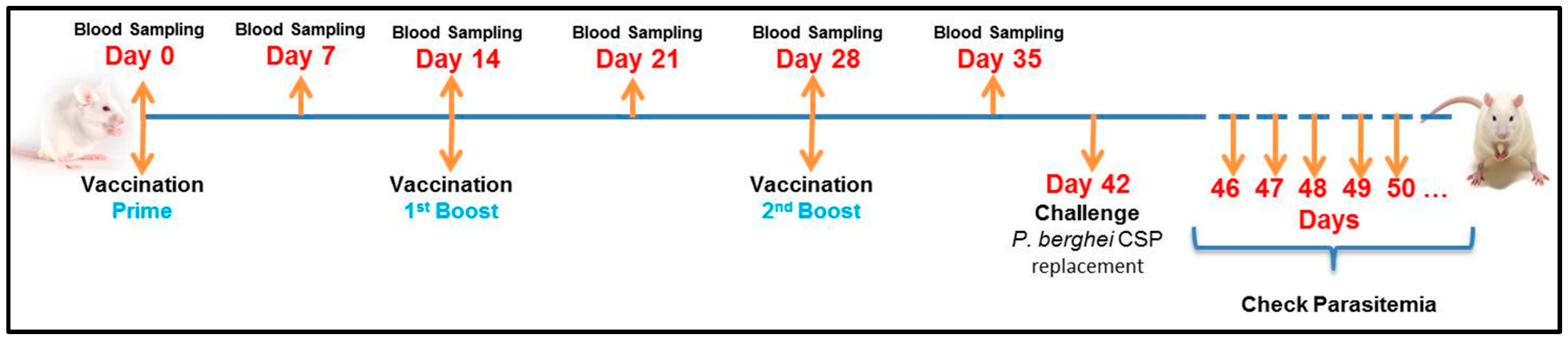 Vaccines 05 00032 g003