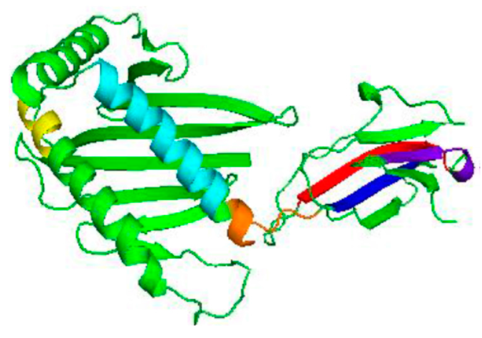 Vaccines 06 00001 g007 Vaccines 06 00001 g007