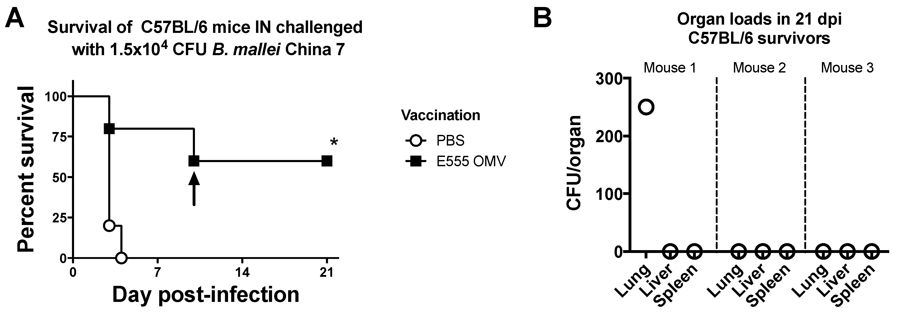 Vaccines 06 00005 g008