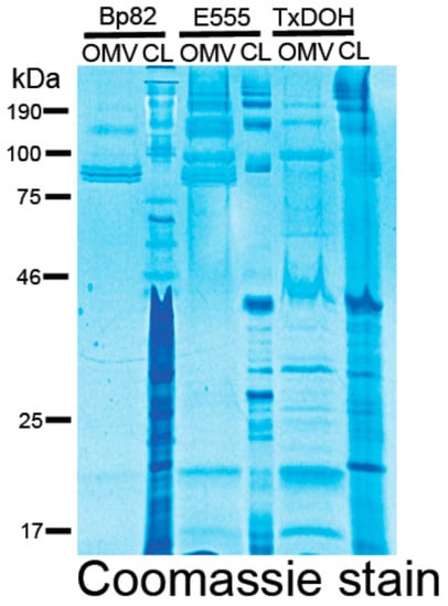 Vaccines 06 00005 g0a2