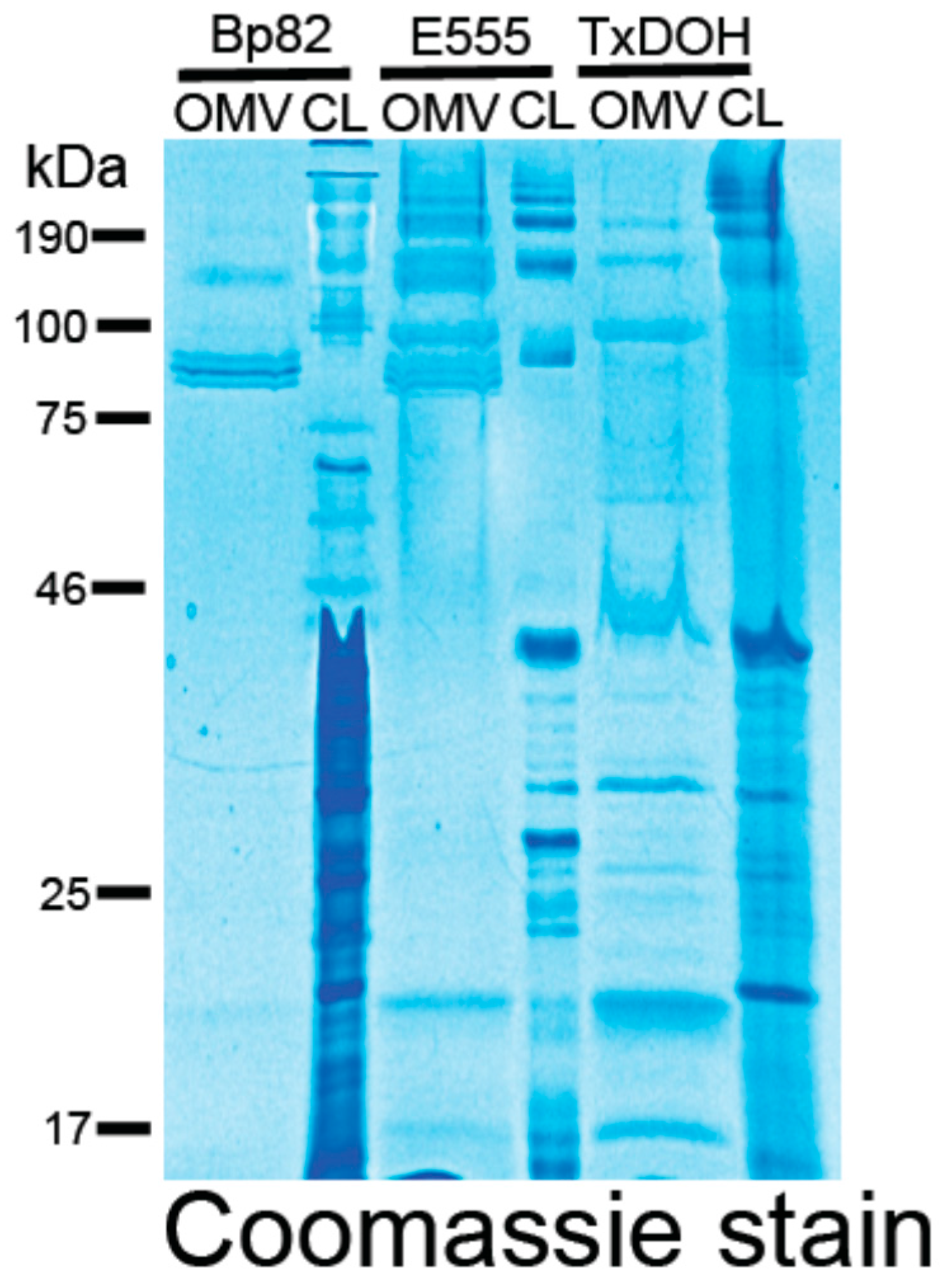 Vaccines 06 00005 g0a2