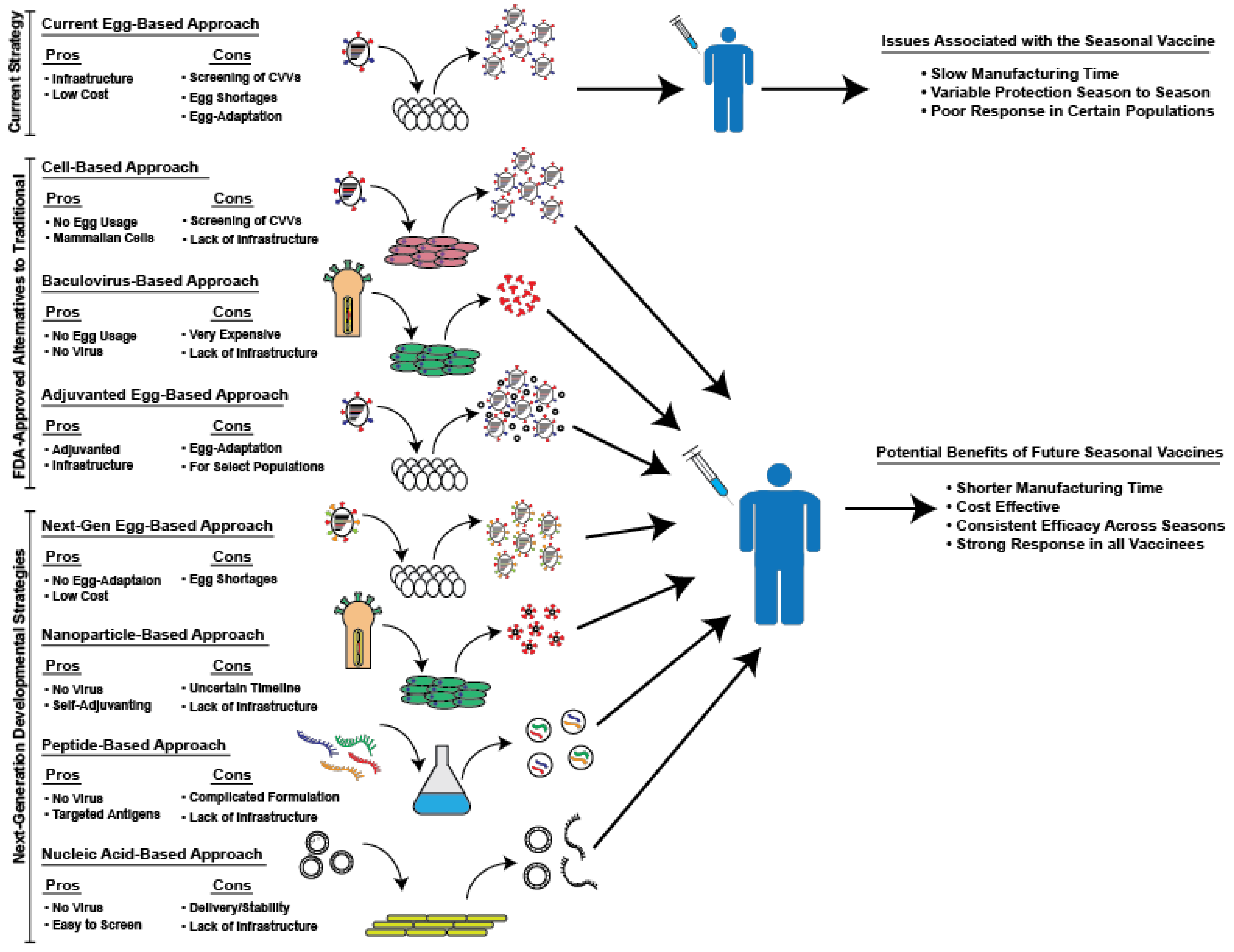 Vaccines 06 00019 g001