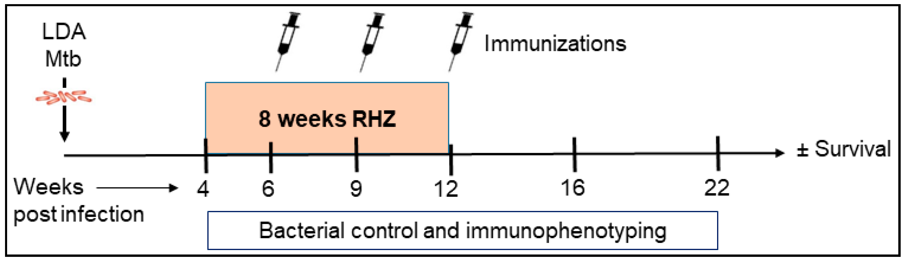 Vaccines 06 00030 g001