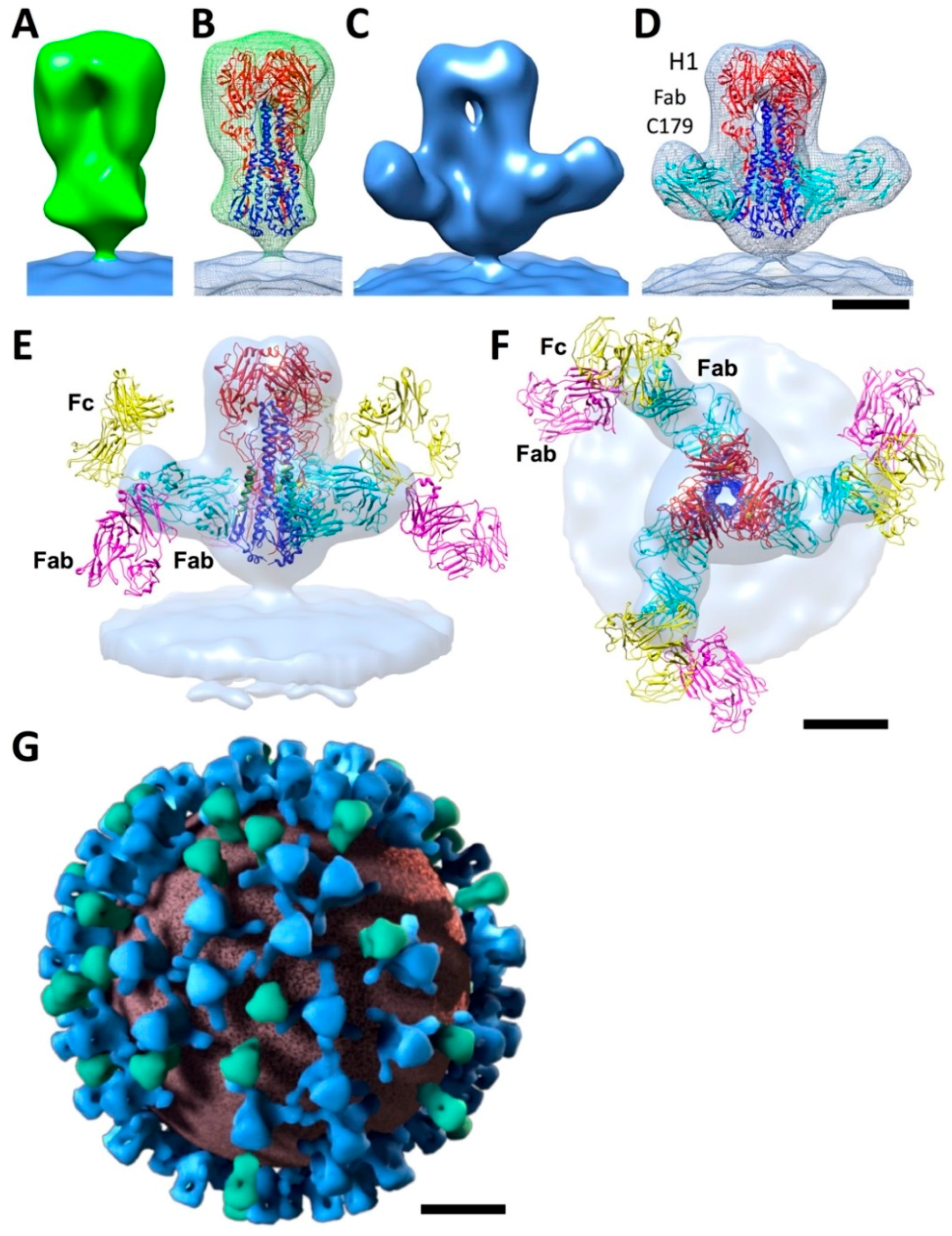 Vaccines 06 00031 g003