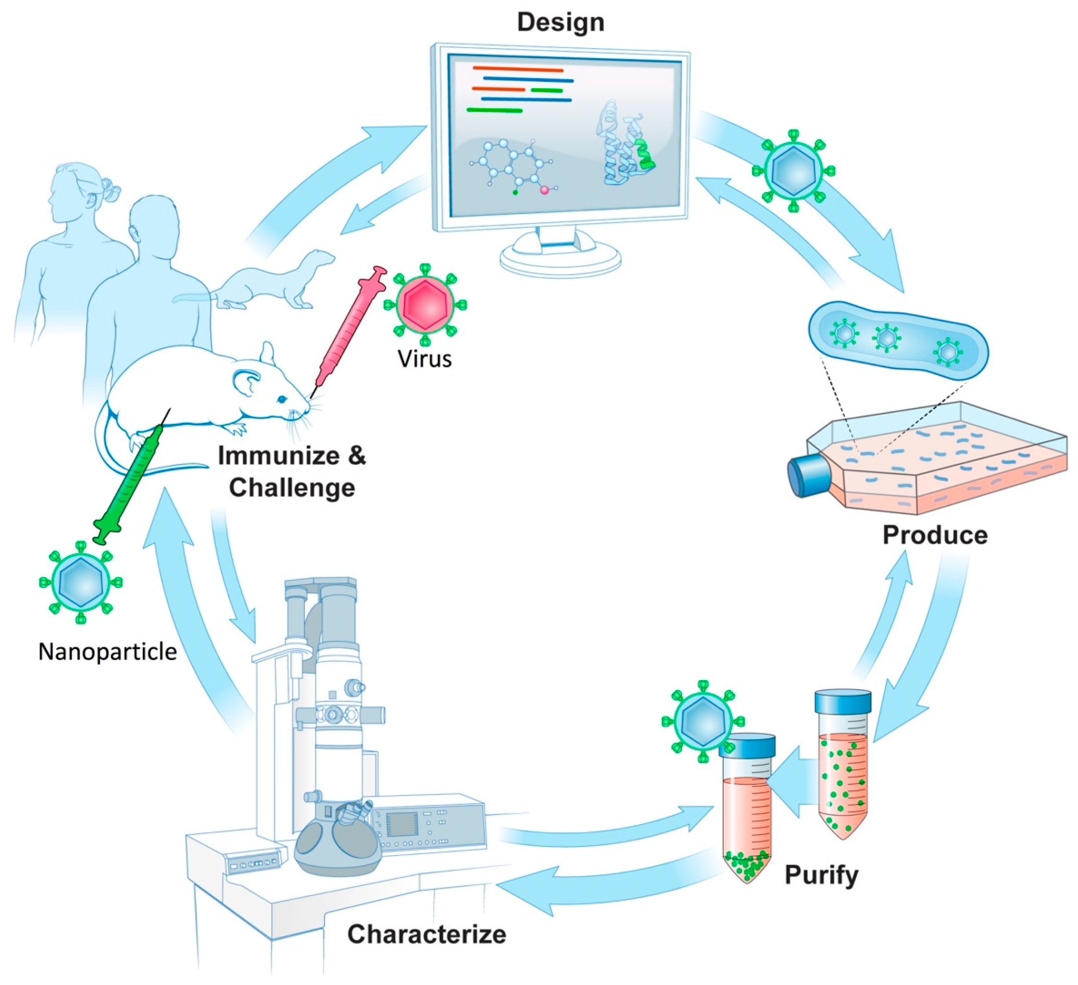 Vaccines 06 00031 g006