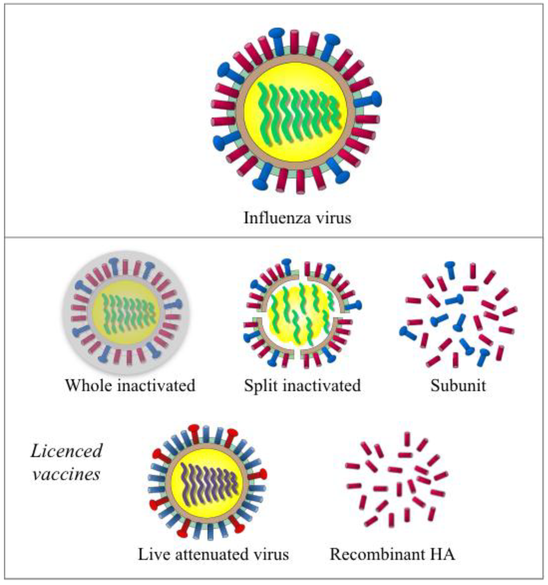 Vaccines 06 00032 g001