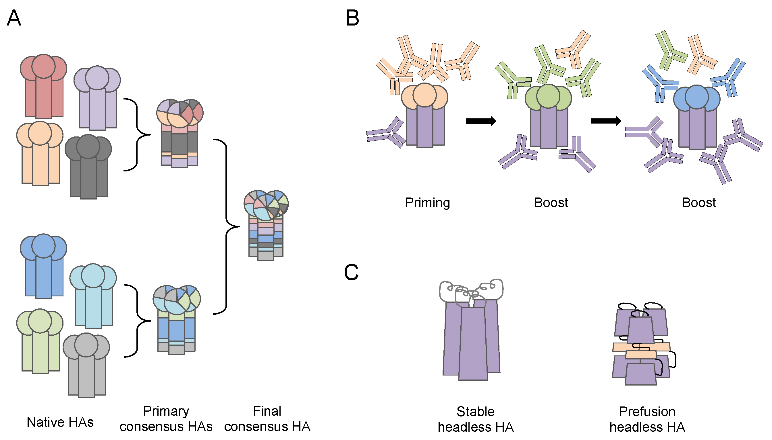 Vaccines 06 00032 g003