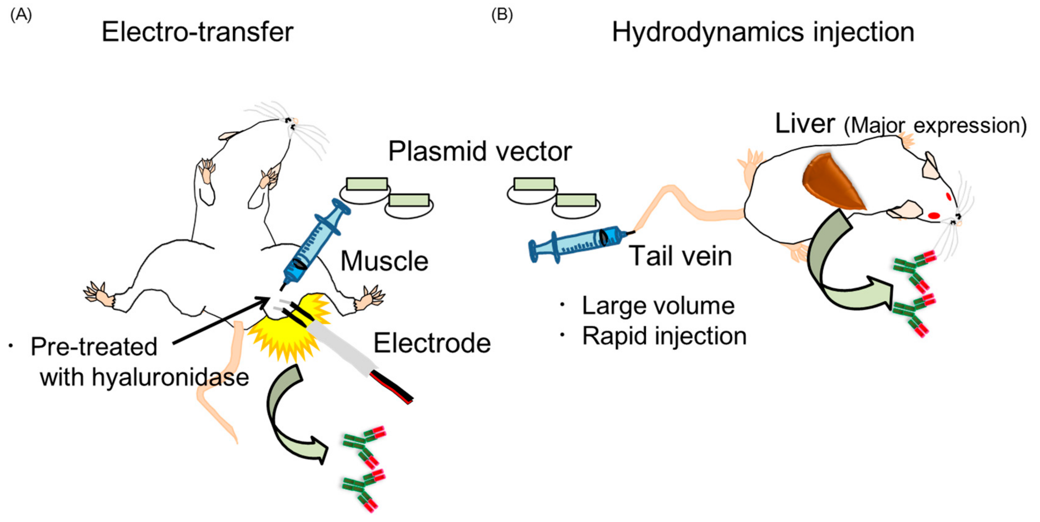 Vaccines 06 00035 g002