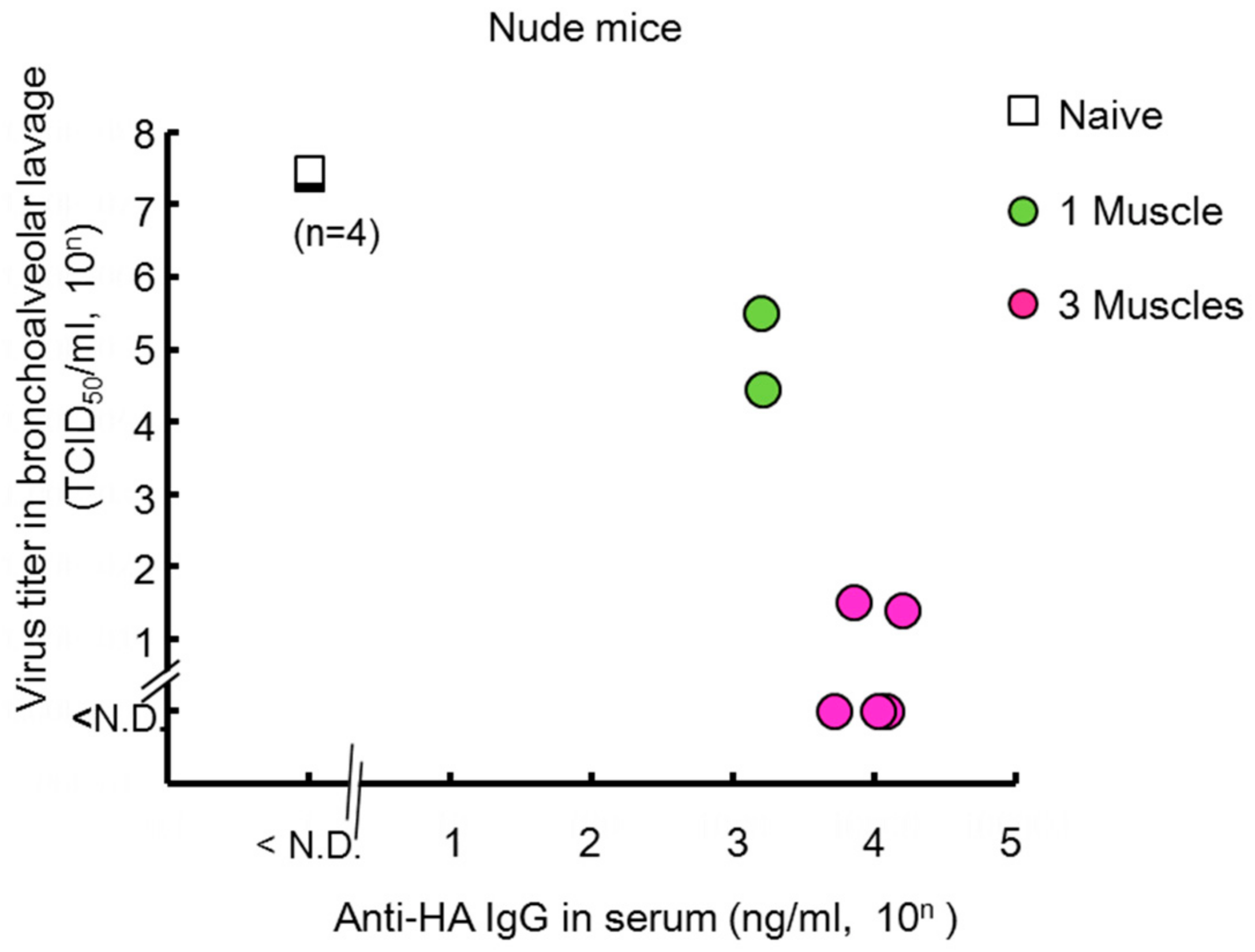 Vaccines 06 00035 g004