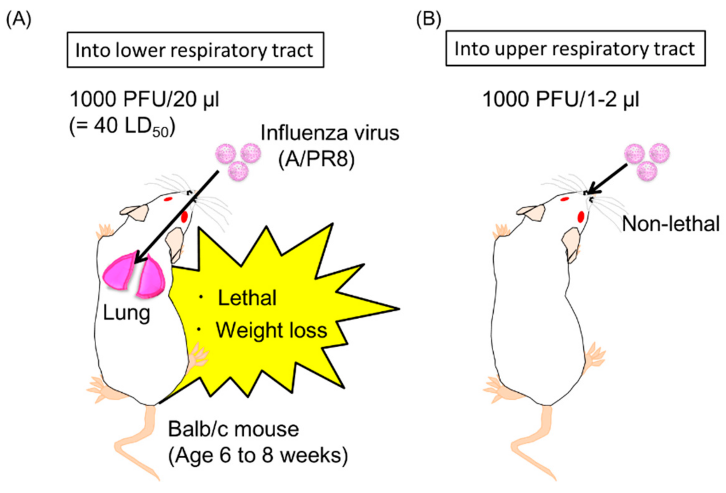 Vaccines 06 00035 g005
