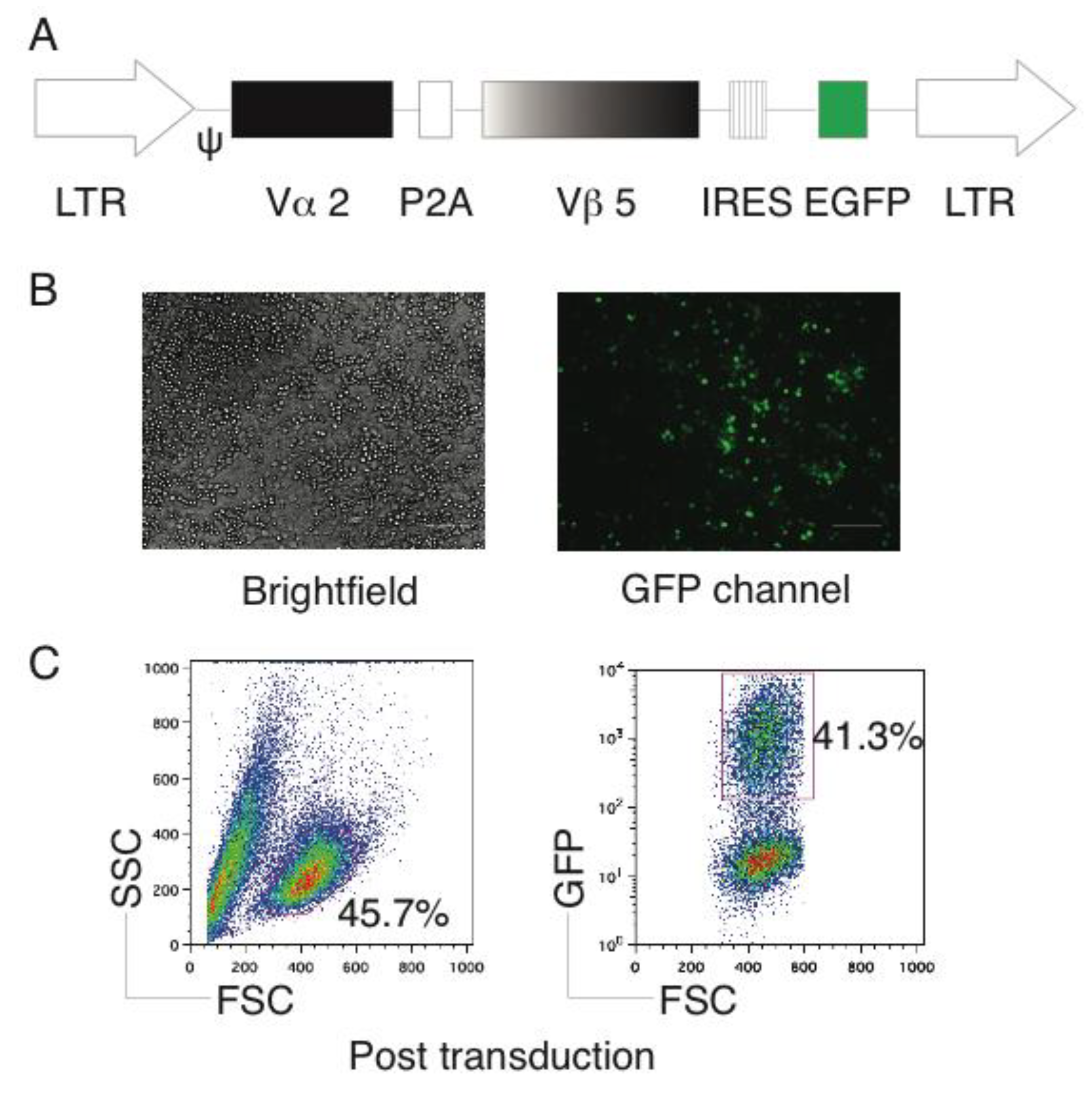 Vaccines 06 00040 g001 Vaccines 06 00040 g001