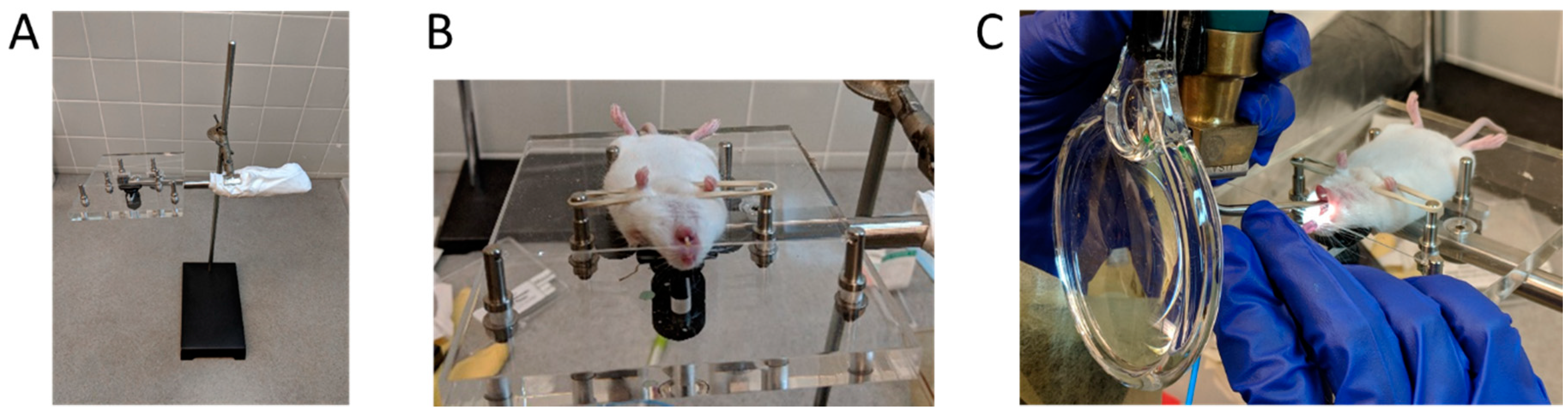 Vaccines 06 00041 g001