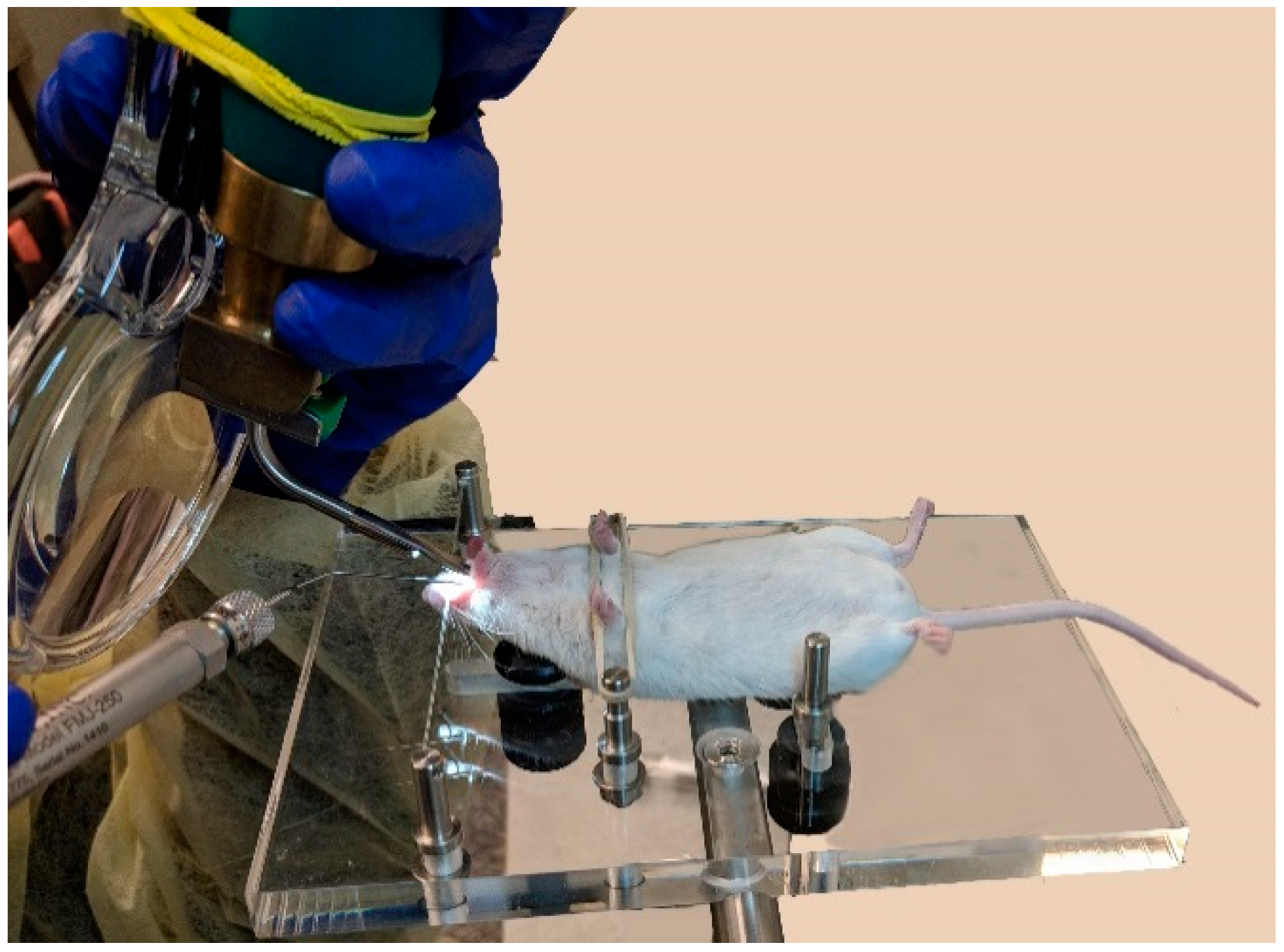 Vaccines 06 00041 g002