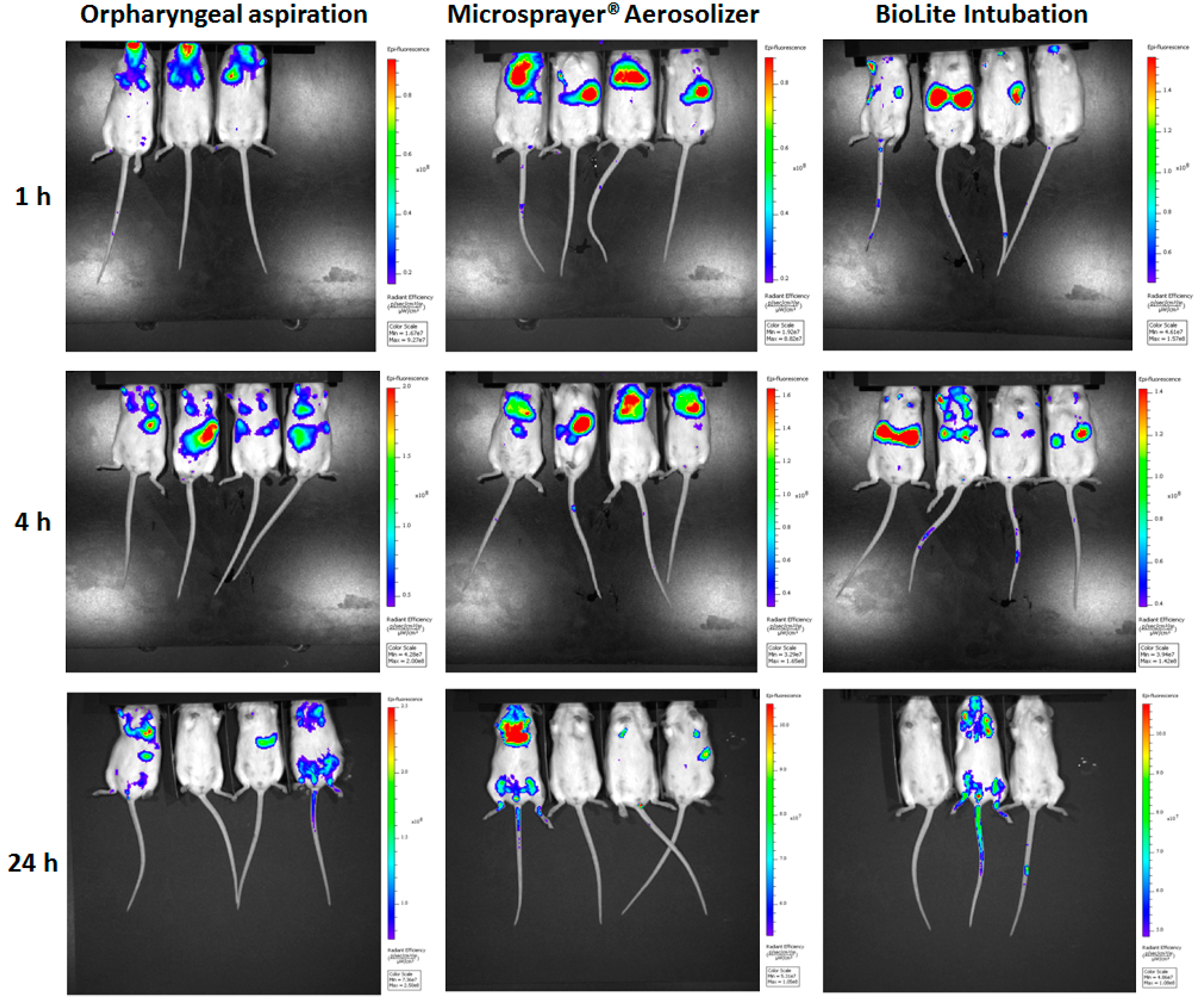 Vaccines 06 00041 g005