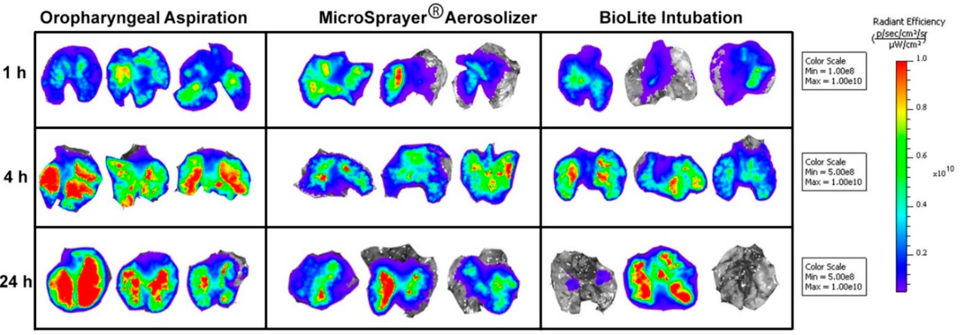 Vaccines 06 00041 g007