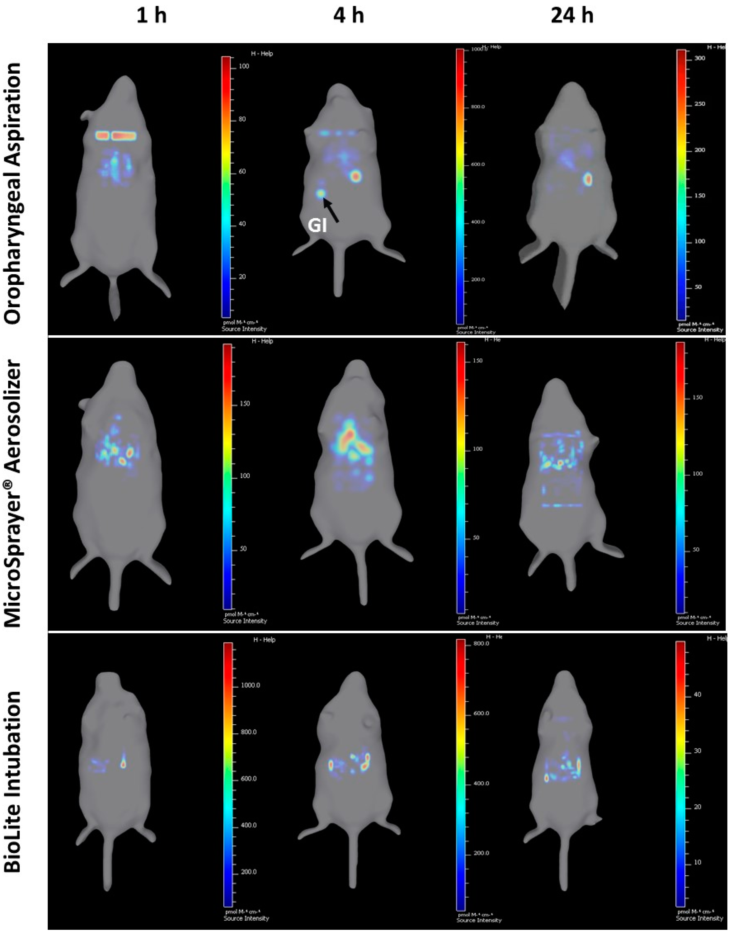Vaccines 06 00041 g009