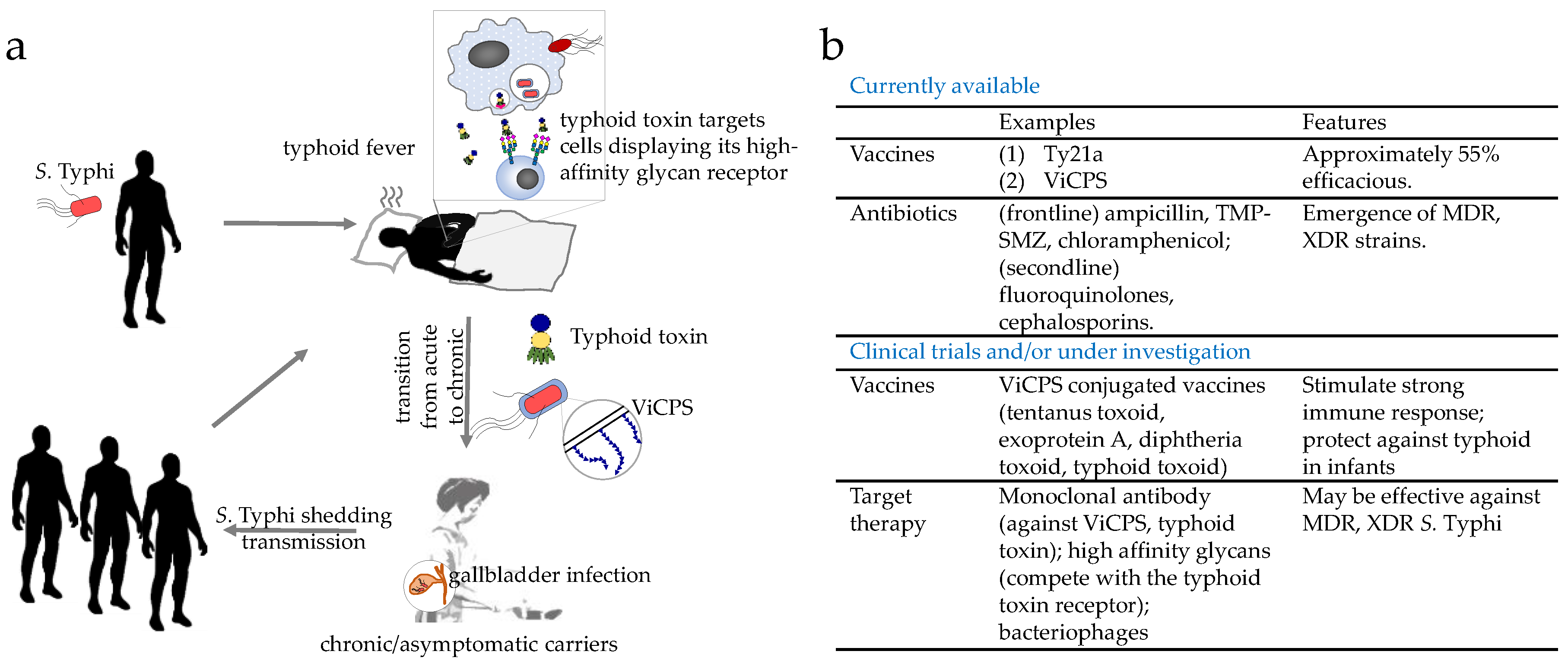 Vaccines 06 00045 g001 Vaccines 06 00045 g001