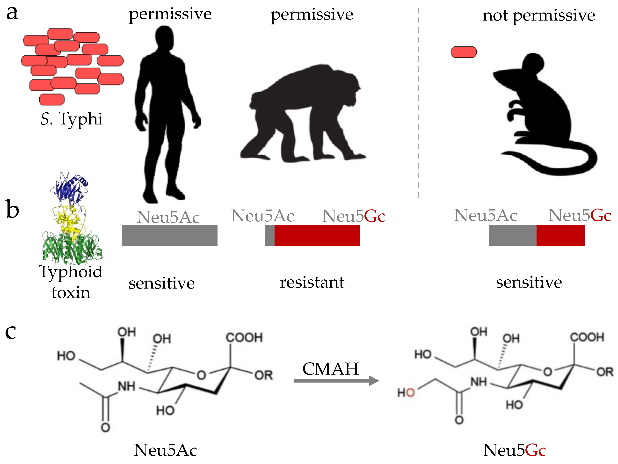 Vaccines 06 00045 g002 Vaccines 06 00045 g002