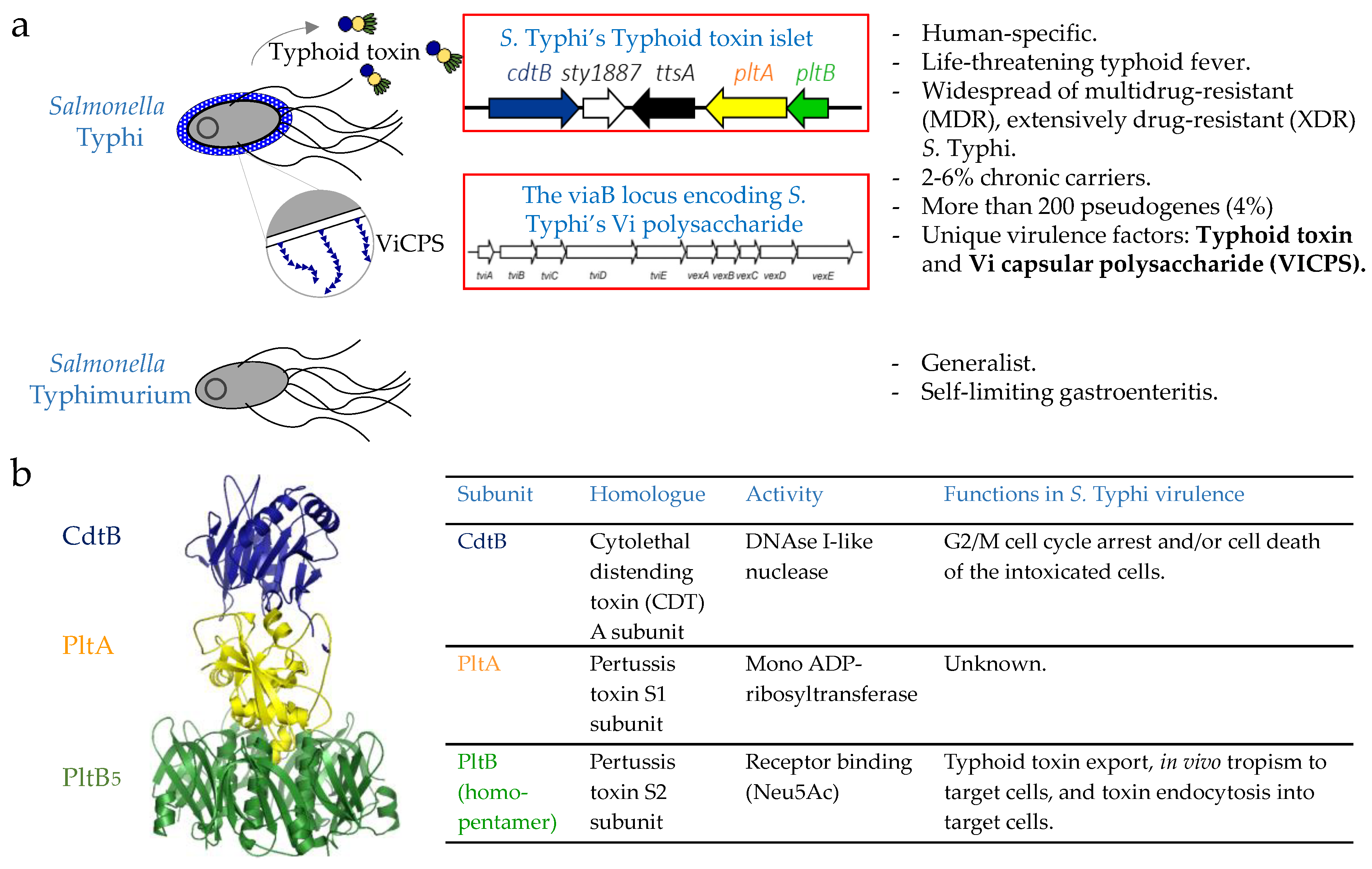 Vaccines 06 00045 g003 Vaccines 06 00045 g003