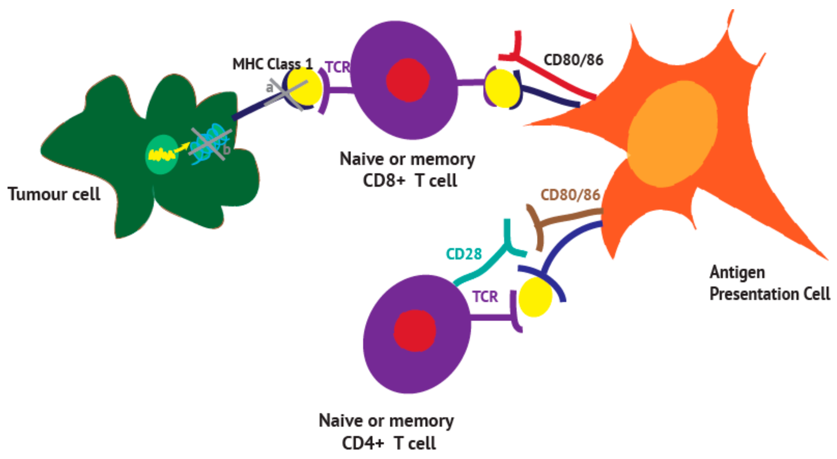 Vaccines 06 00052 g001