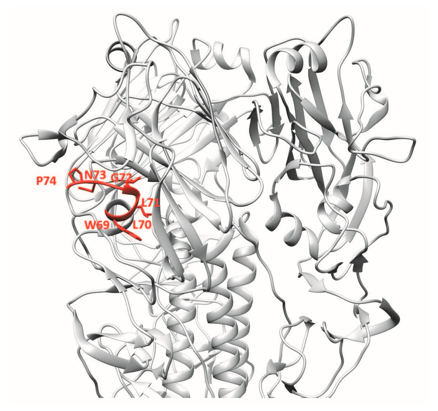 Vaccines 06 00053 g004