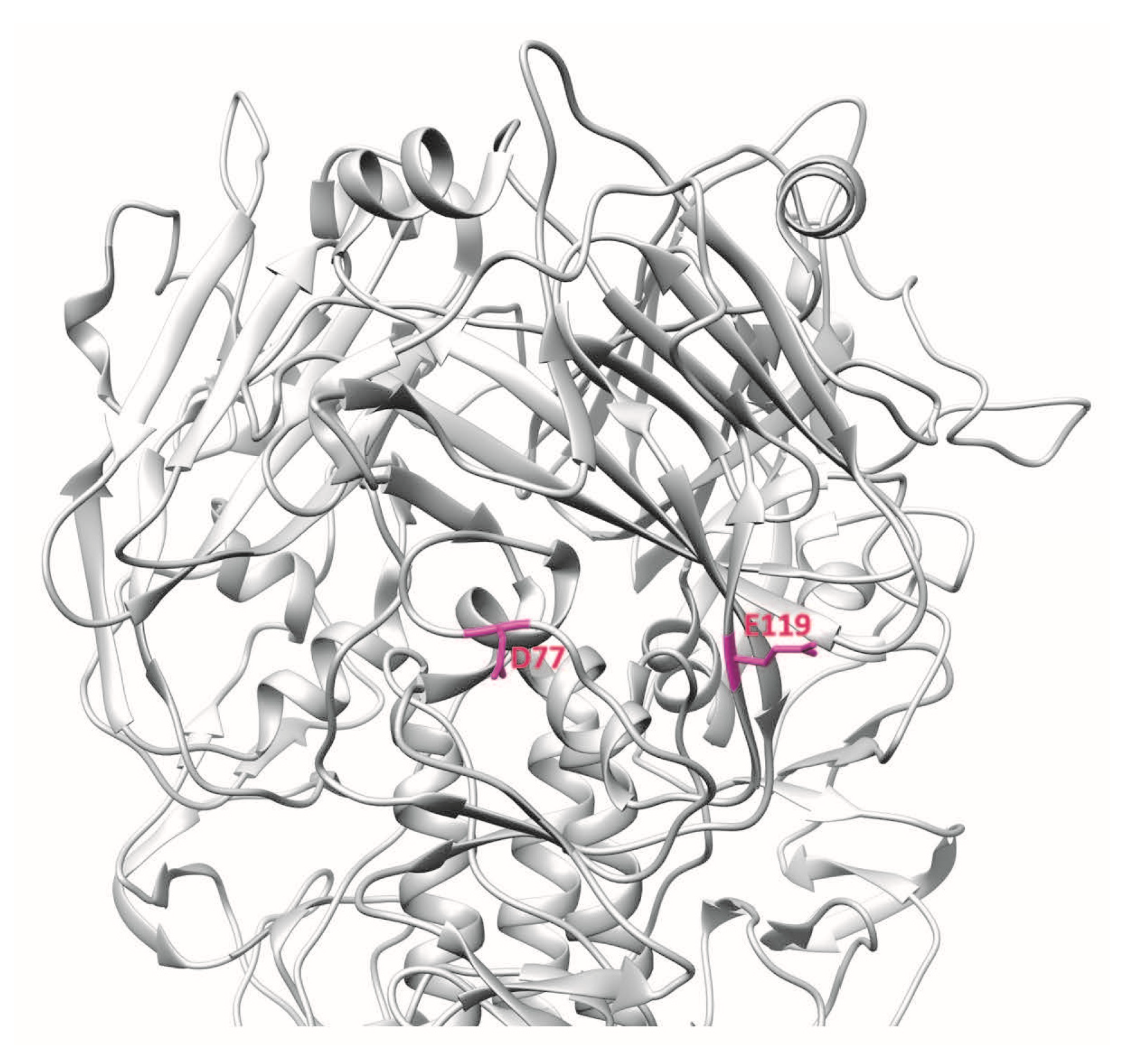 Vaccines 06 00053 g005