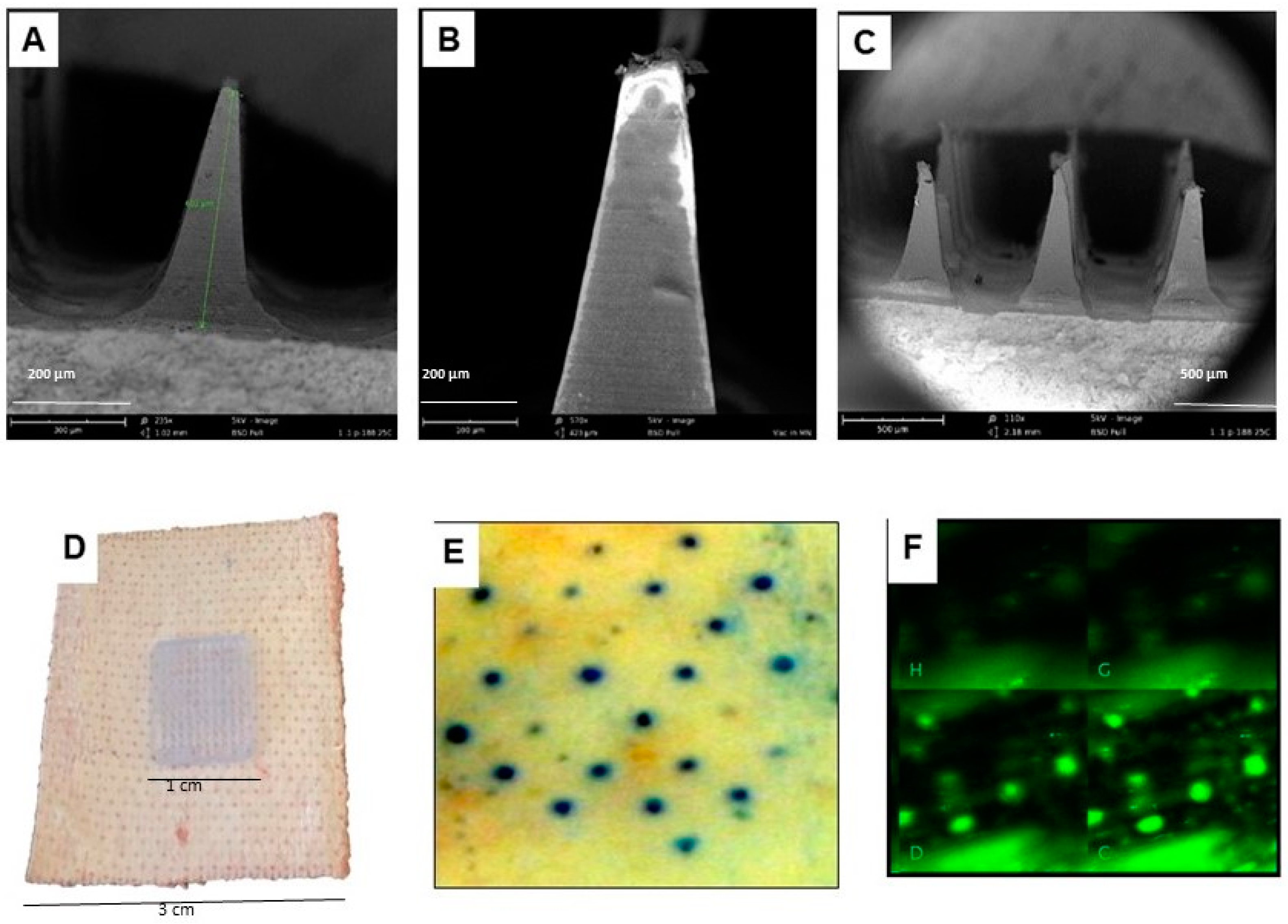 Vaccines 06 00060 g004 Vaccines 06 00060 g004