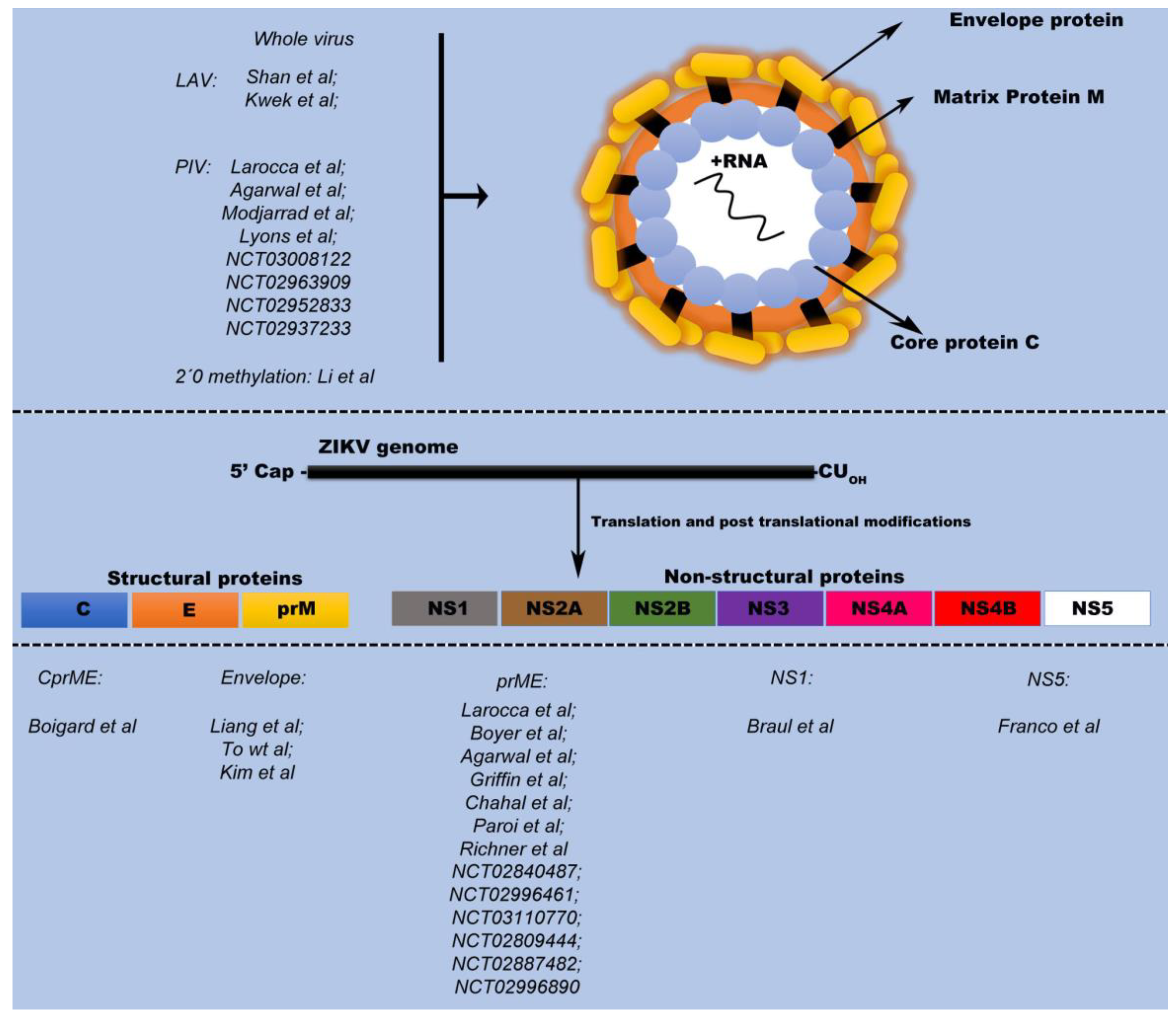 Vaccines 06 00062 g001