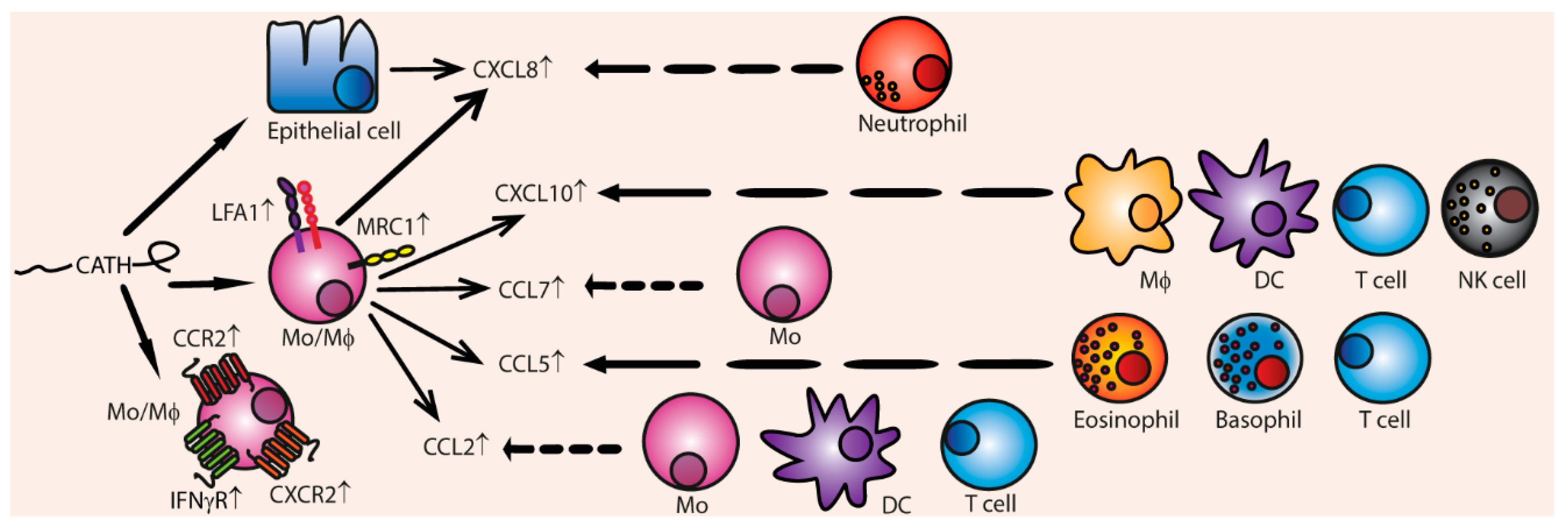 Vaccines 06 00063 g005