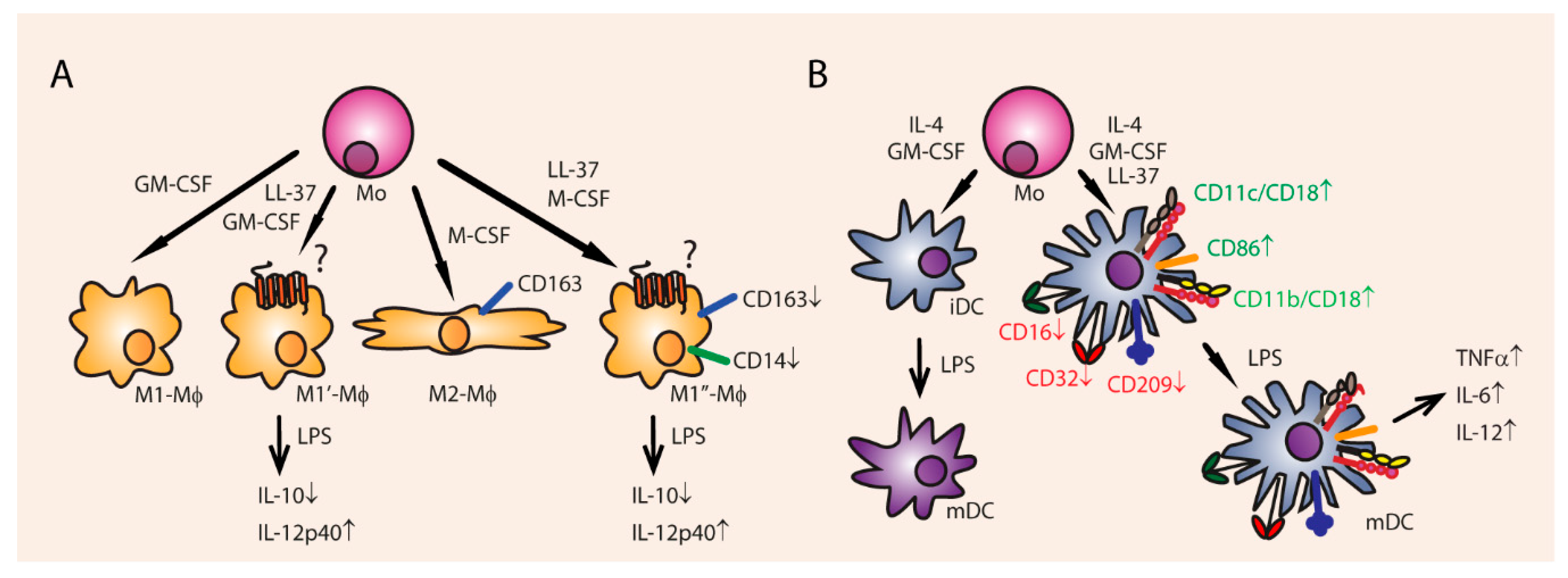 Vaccines 06 00063 g006