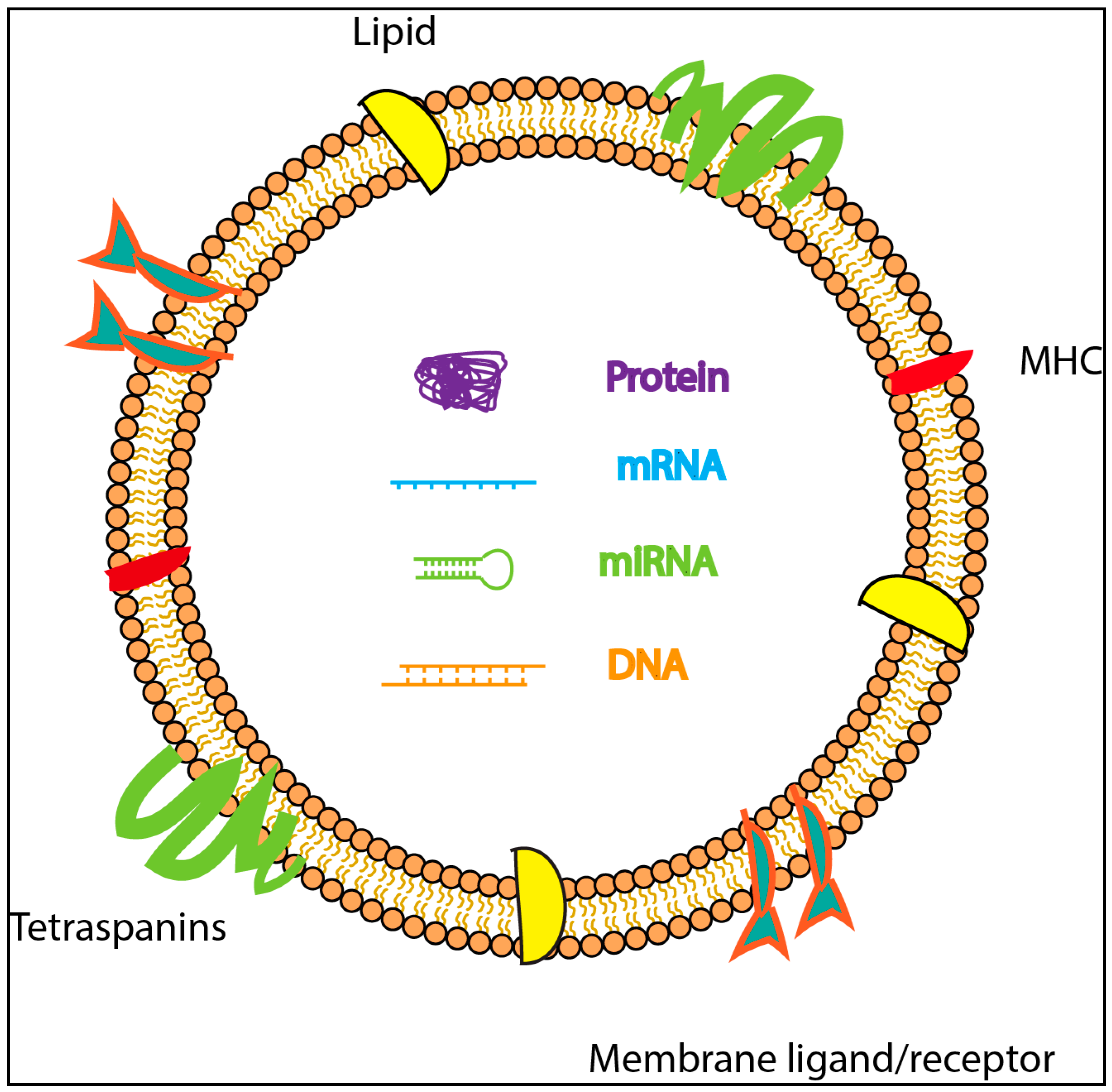 Vaccines 06 00069 g001
