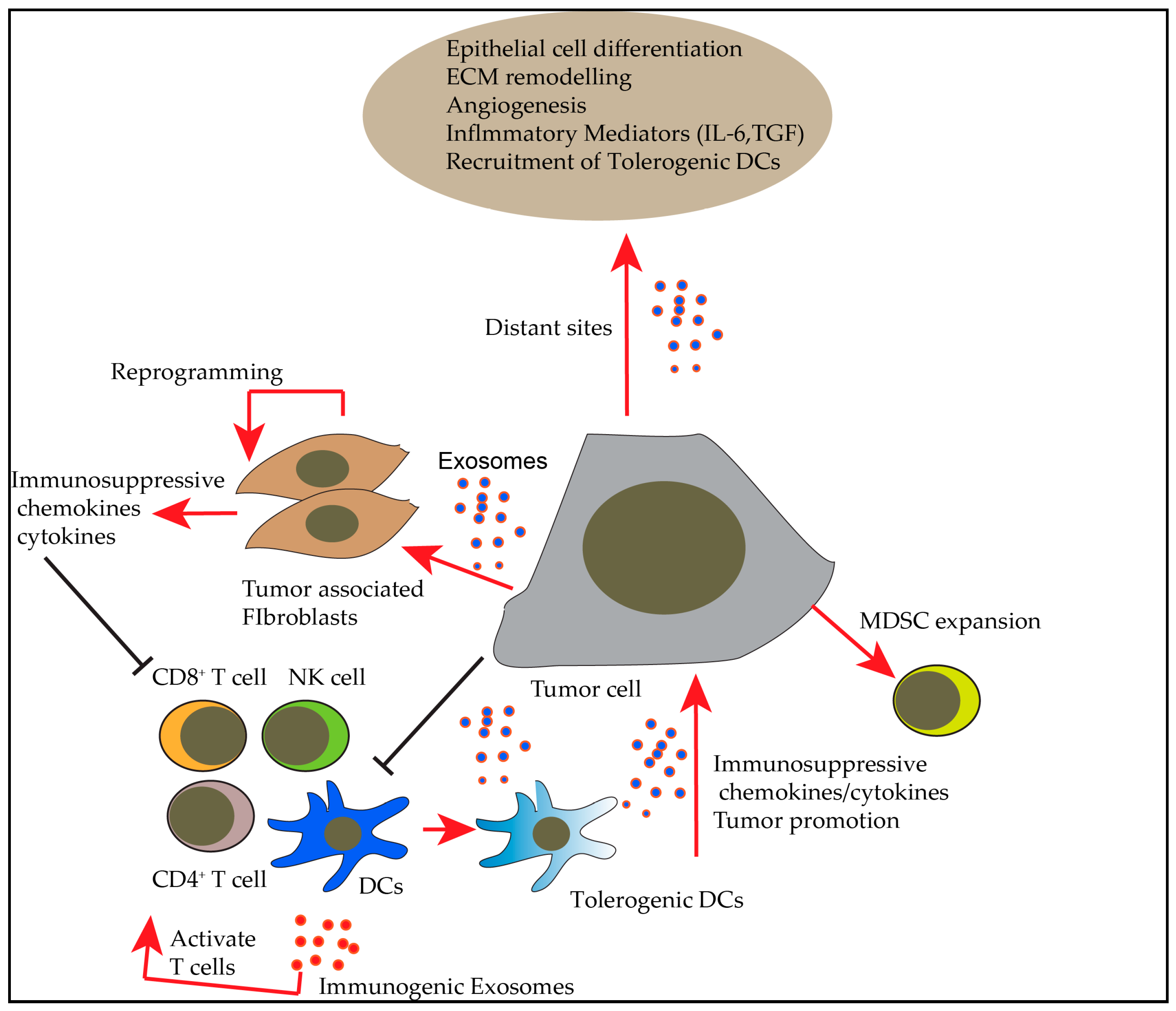 Vaccines 06 00069 g003