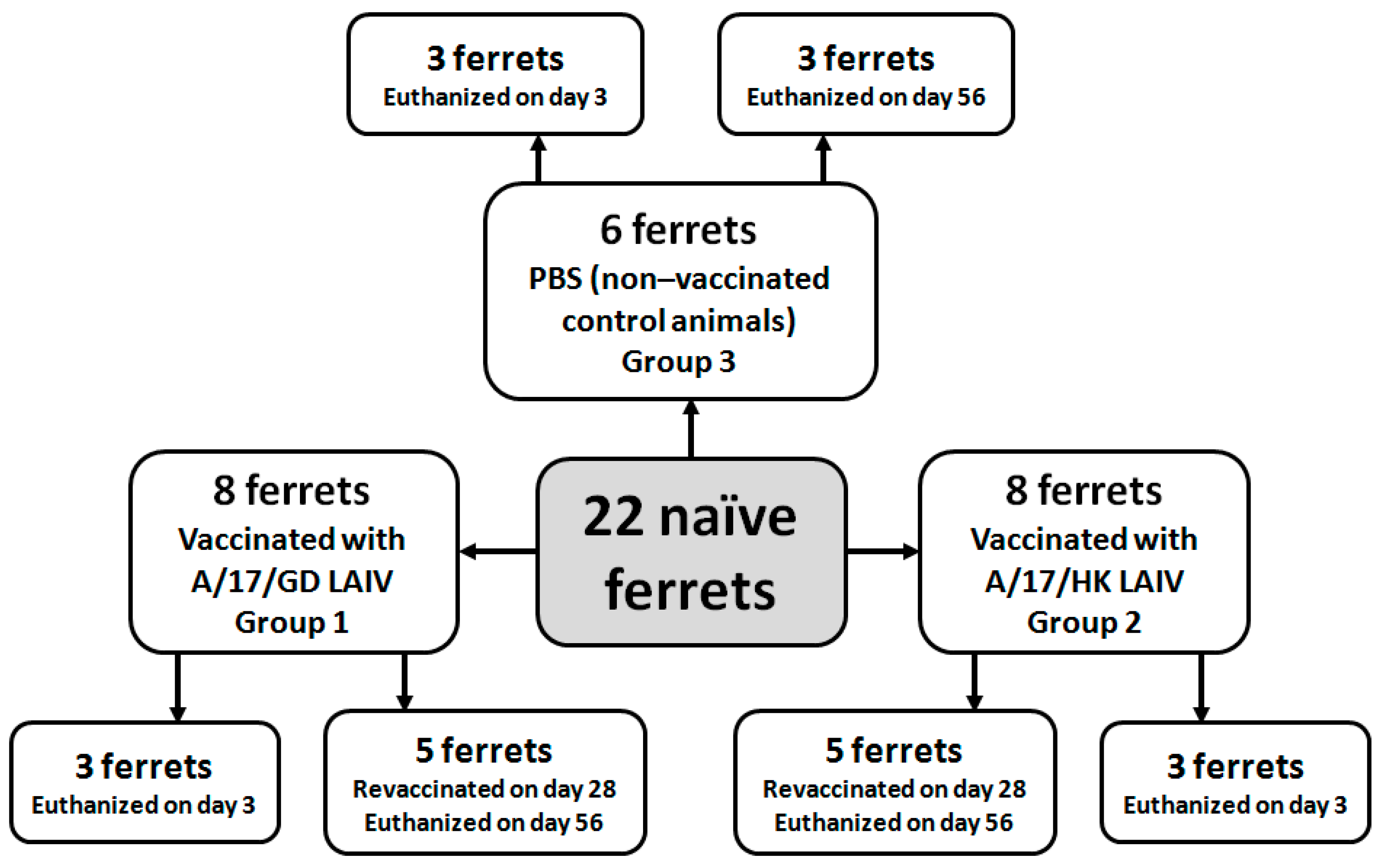 Vaccines 06 00074 g001