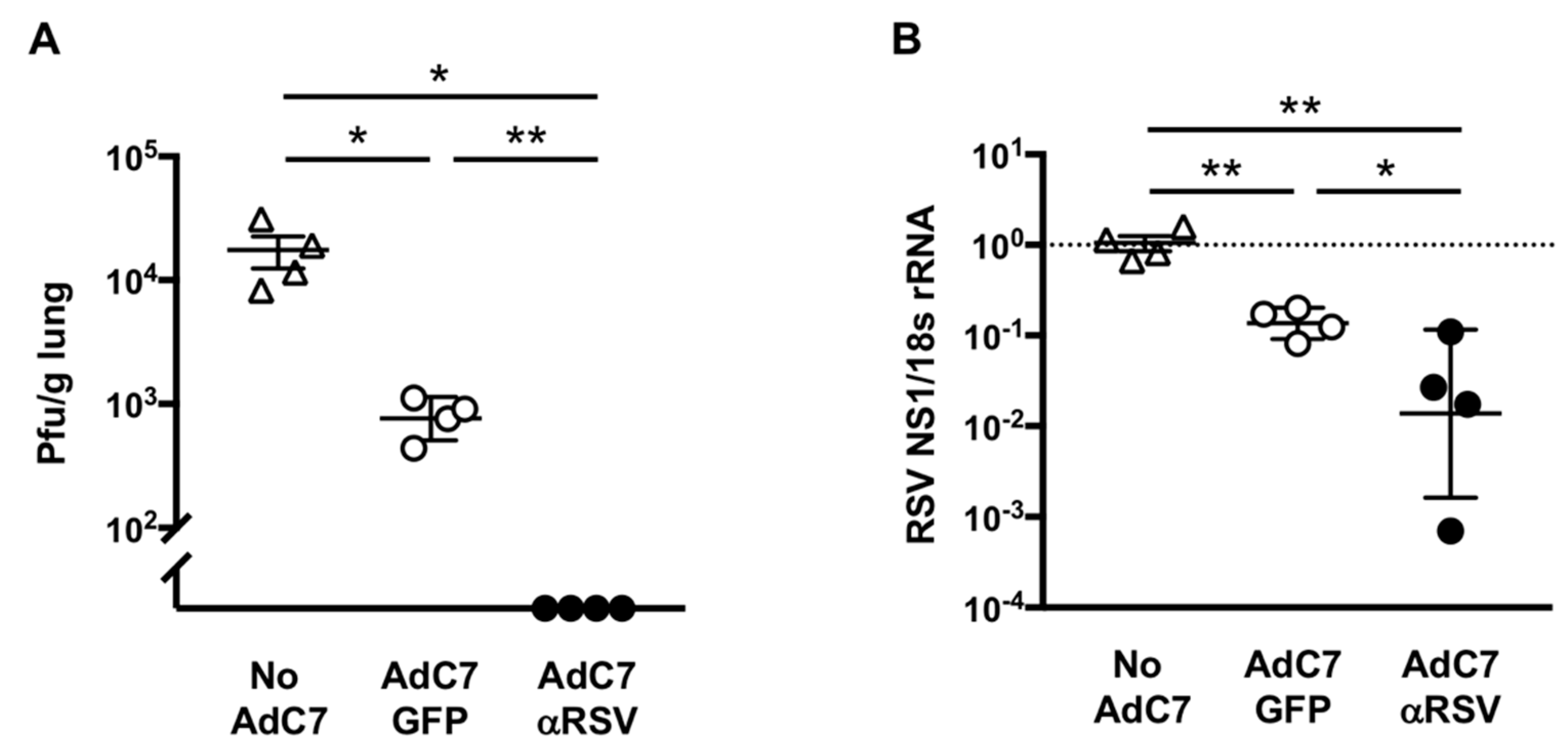 Vaccines 07 00003 g005 Vaccines 07 00003 g005