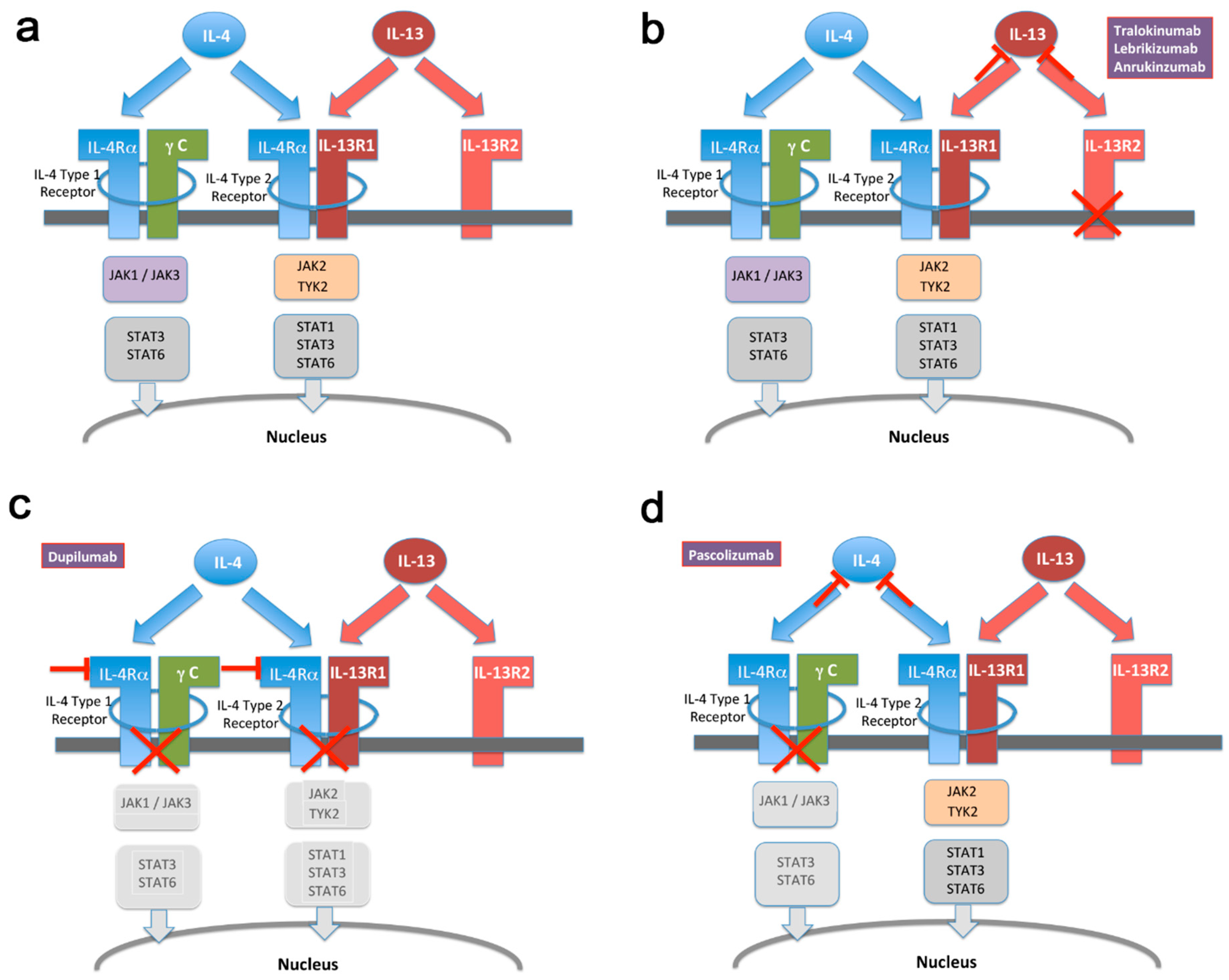 Vaccines 07 00020 g001