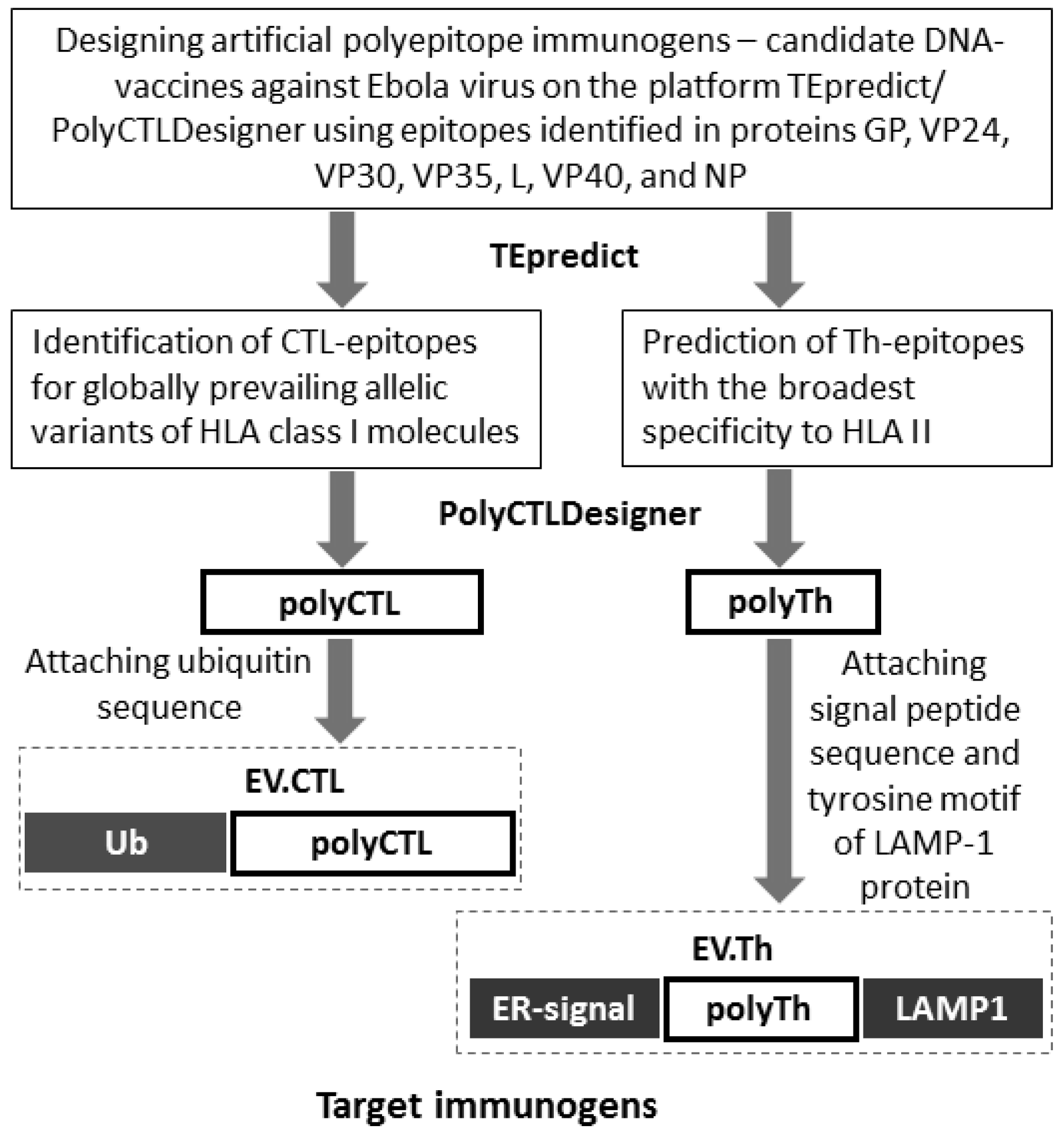 Vaccines 07 00034 g001