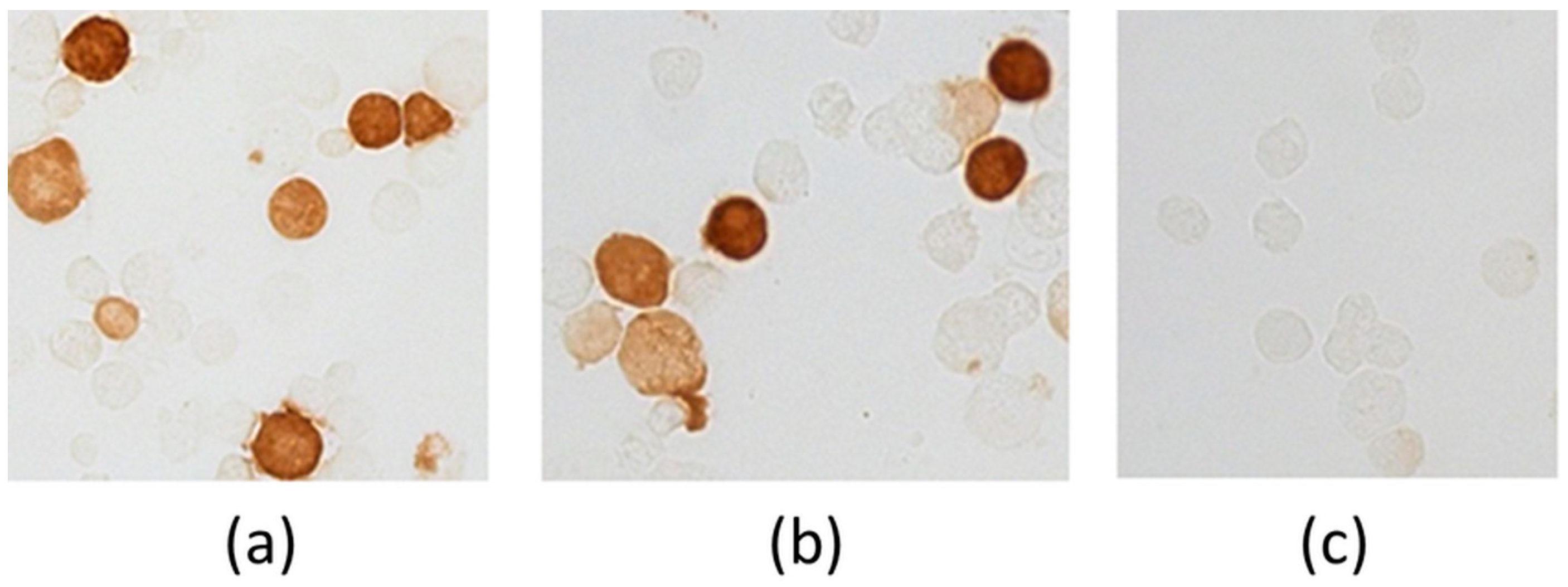 Vaccines 07 00034 g003