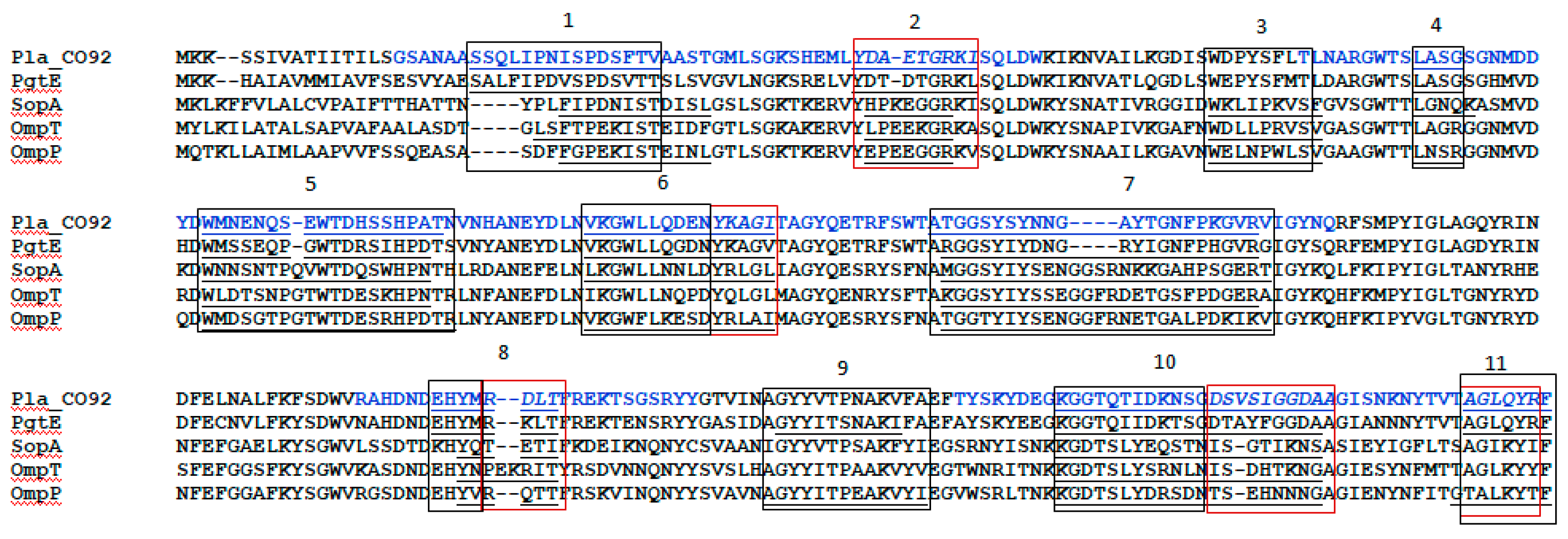 Vaccines 07 00036 g001