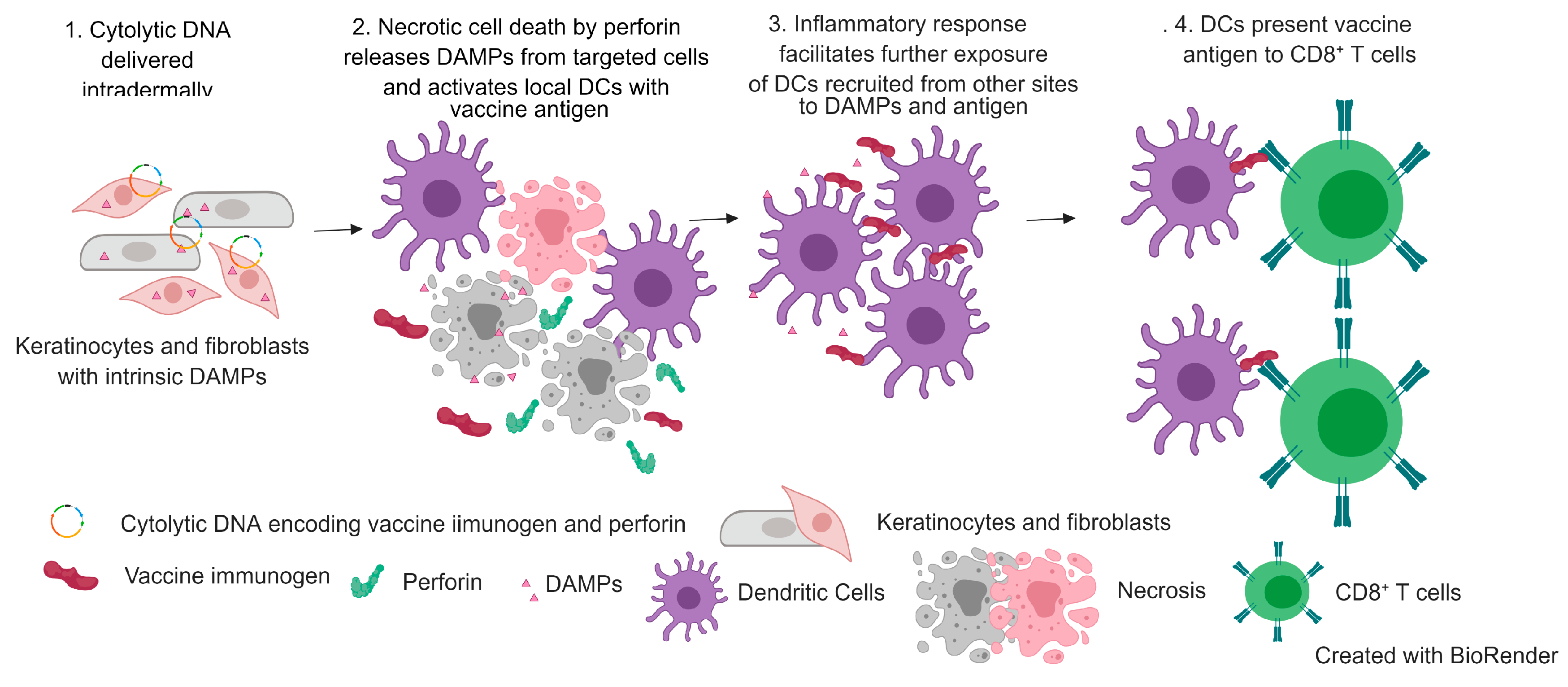 Vaccines 07 00038 g002