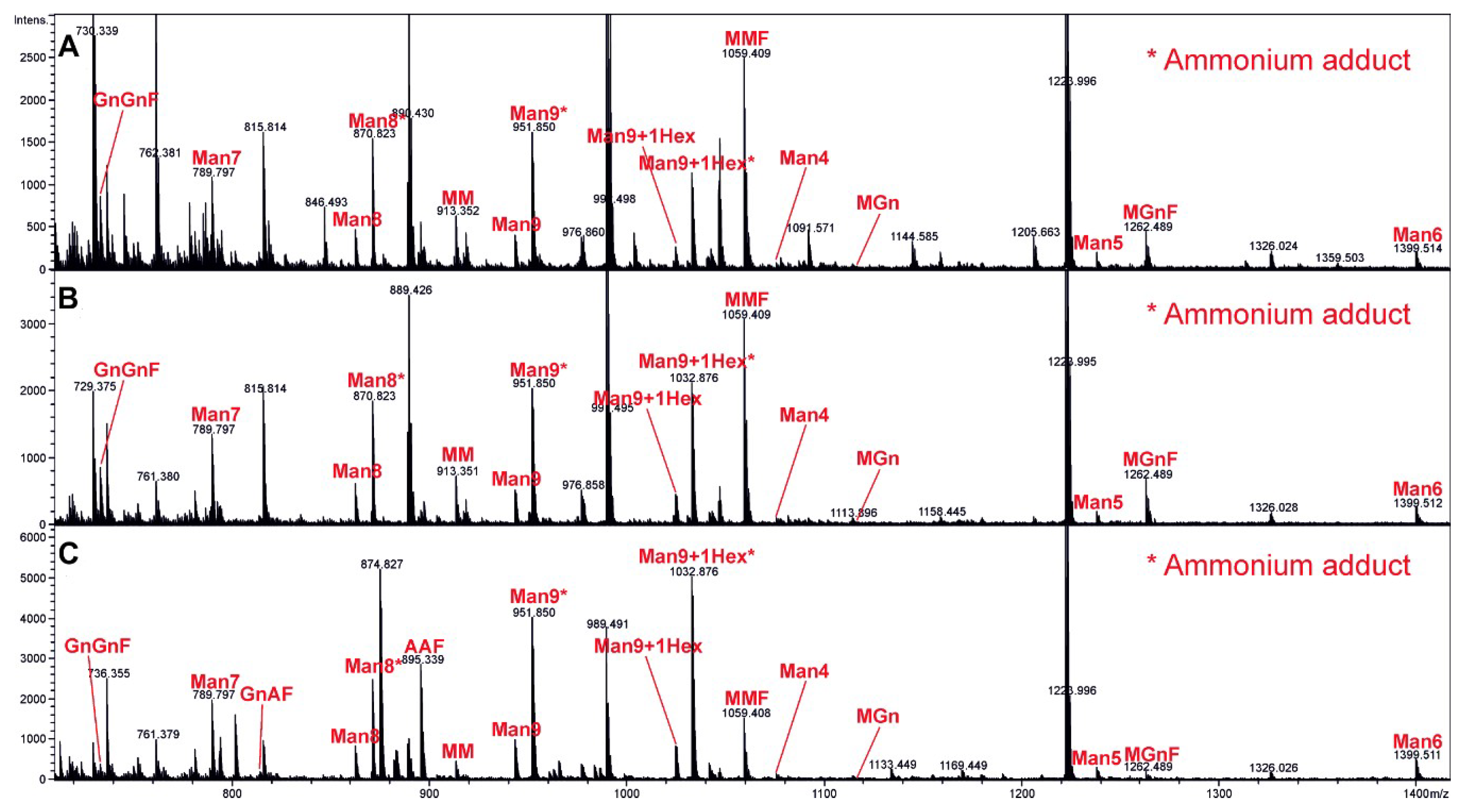 Vaccines 07 00041 g002