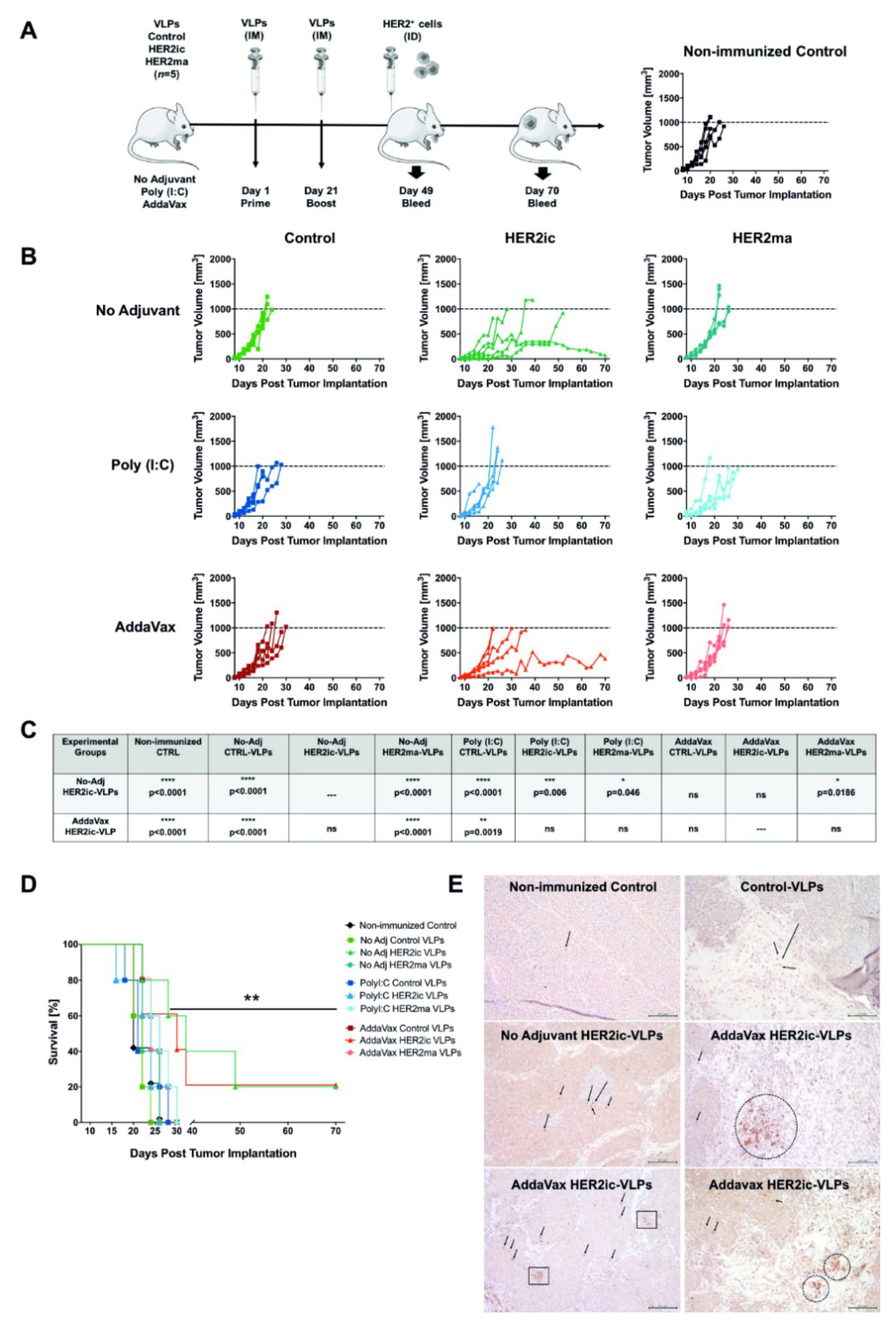 Vaccines 07 00041 g003