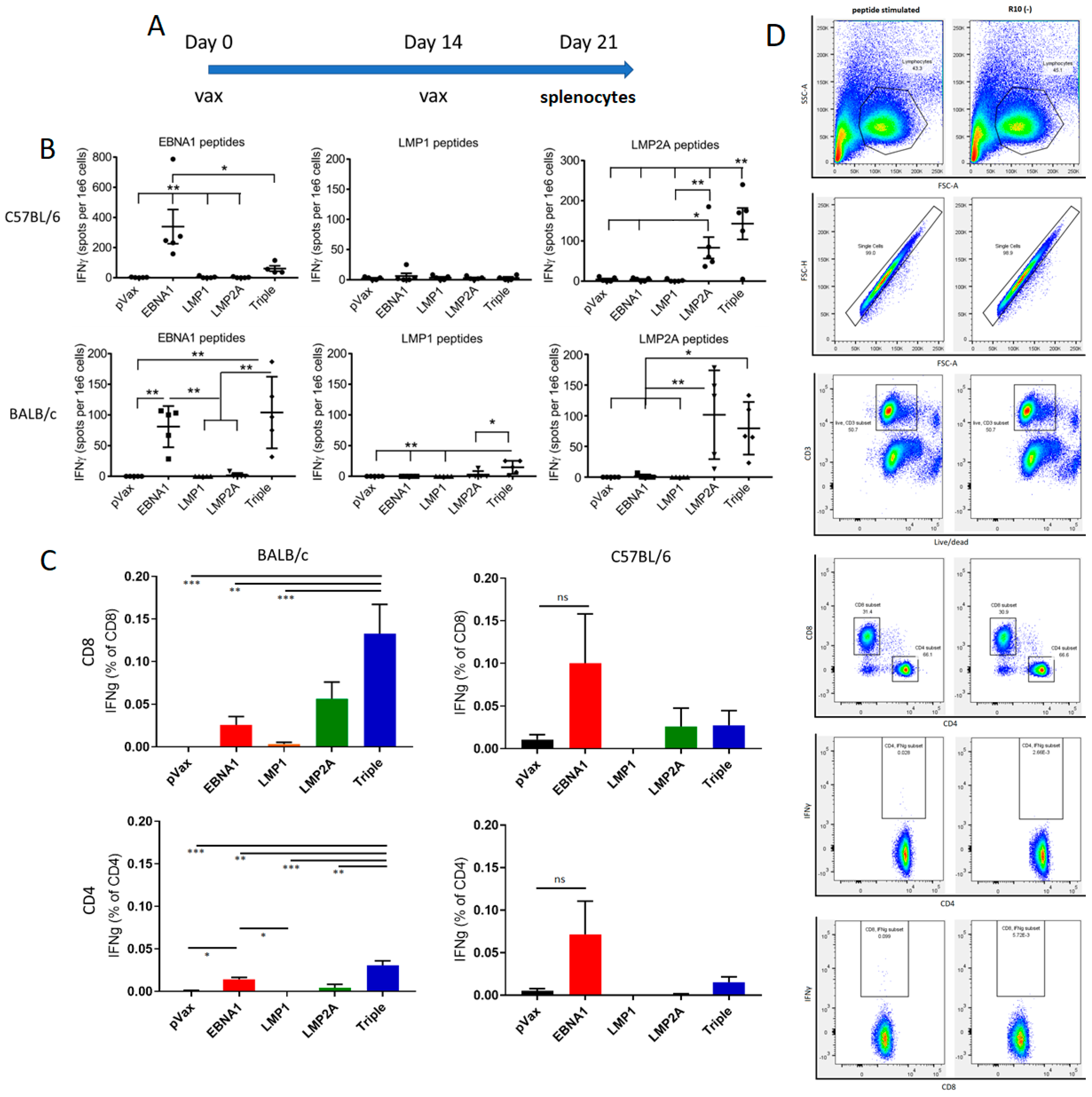Vaccines 07 00044 g002