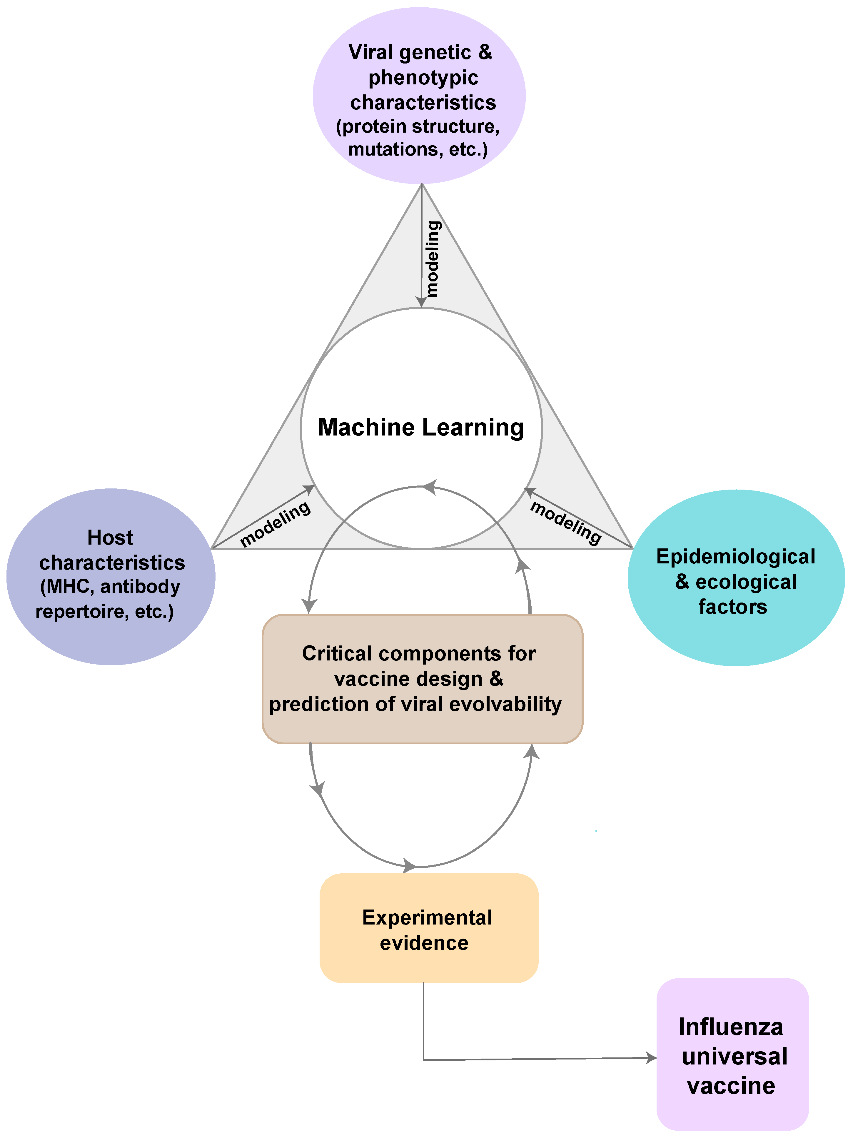 Vaccines 07 00045 g001