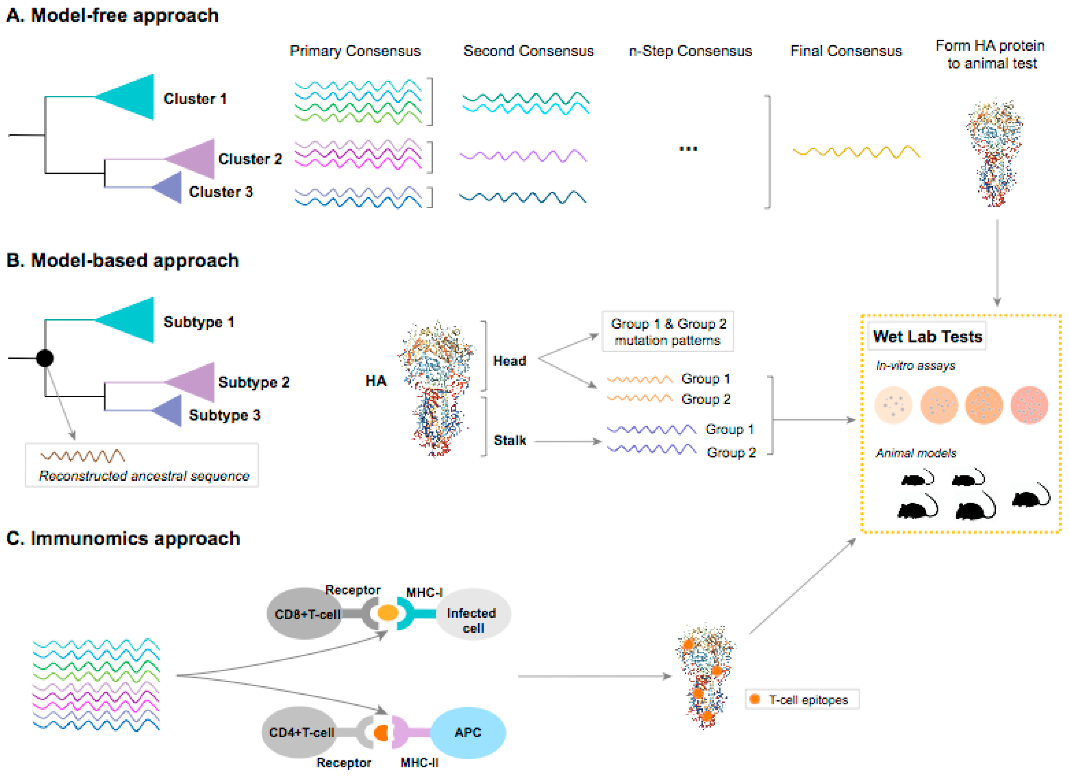Vaccines 07 00045 g002
